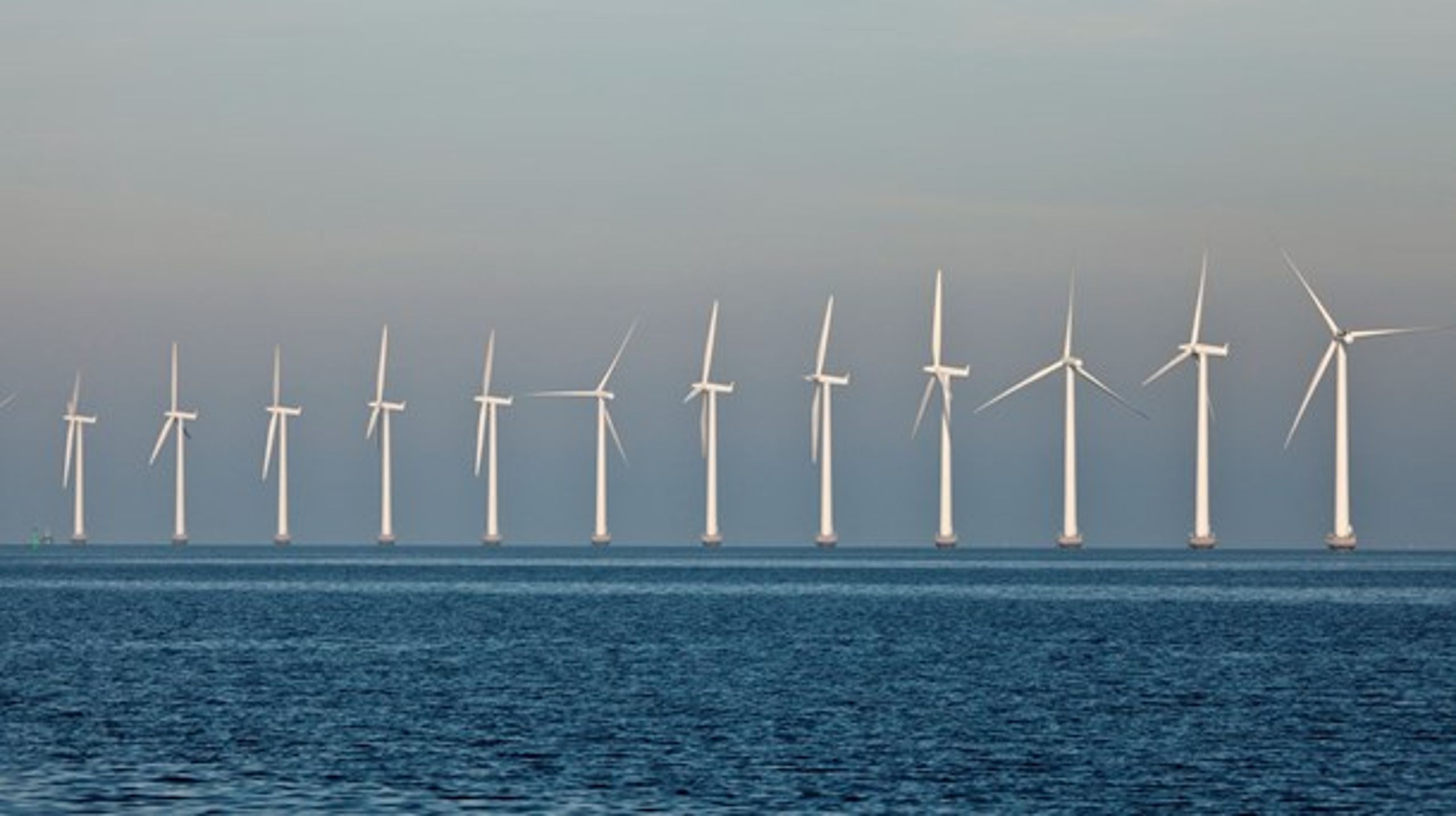 Vi har aldrig været ude og være fortalere for kystnære havvindmøller, lyder det fra Danmarks Naturfredningsforening, som dog tøver i kampen mod dem.