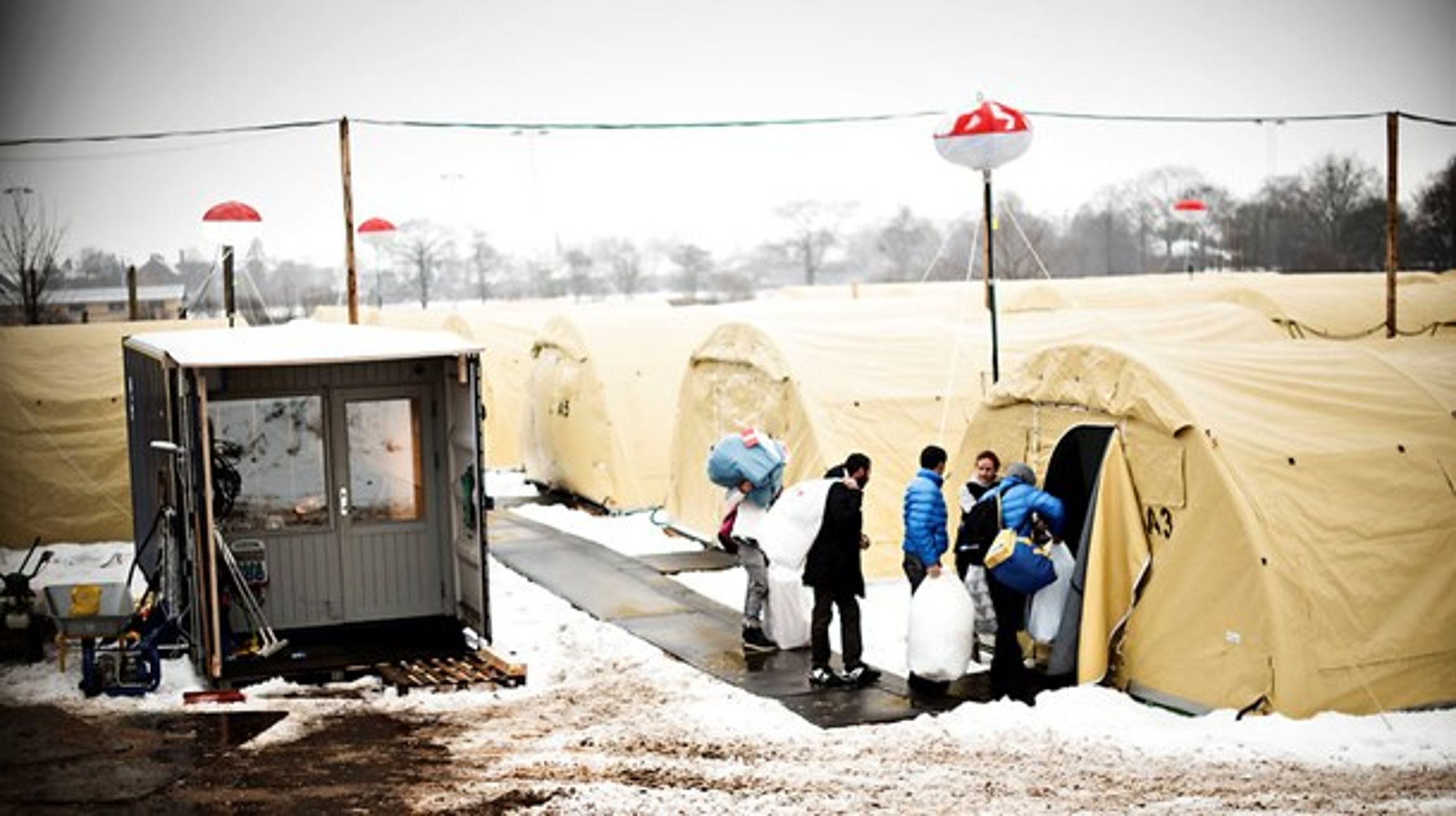 Når danske flygtninge fordeles mellem kommunerne, bliver der ikke set nok på, hvor arbejdspladserne er, mener DA&nbsp;(Mathias Løvgreen Bojesen/ Scanpix).