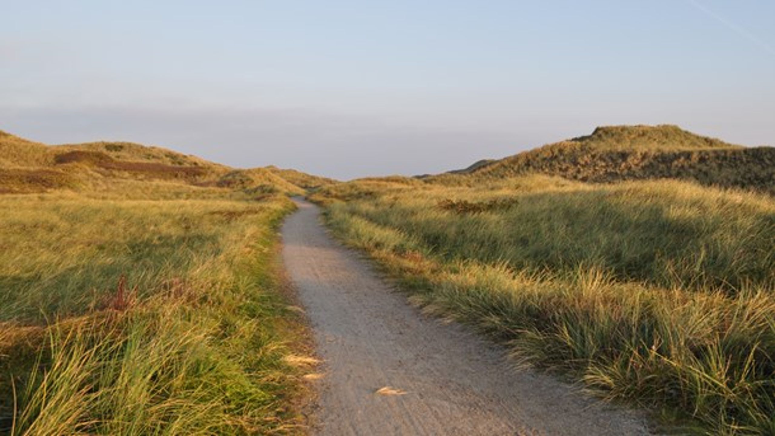 Folketinget behandler torsdag regeringens lovforslag til ændringer af kystbeskyttelsen.