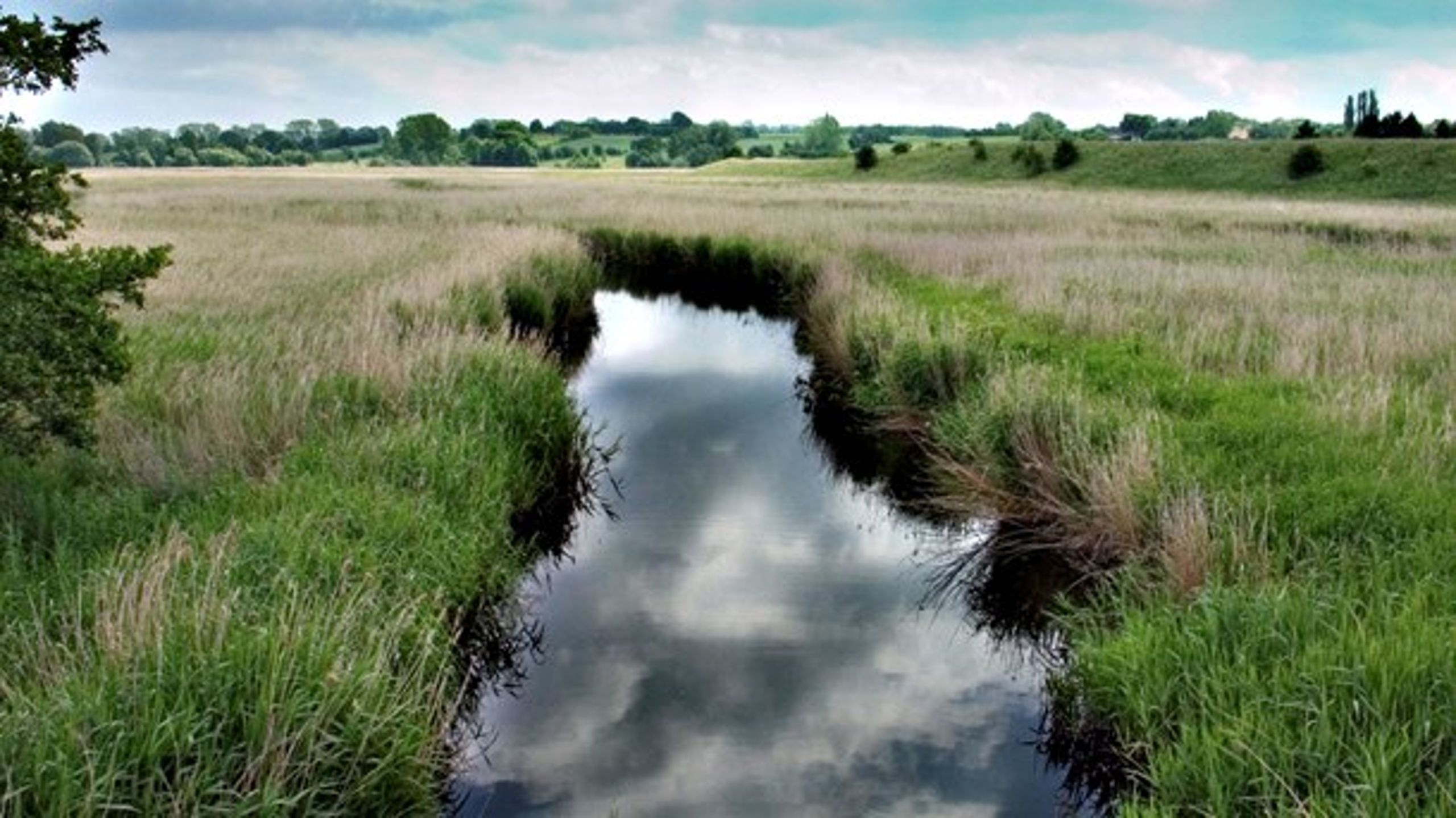 Set fra Danmarks Naturfredningsforenings side, så spiller de små vandløb en stor rolle i Danmark, skriver Henning Mørk Jørgensen,&nbsp;Biolog i Danmarks Naturfredningsforening.
