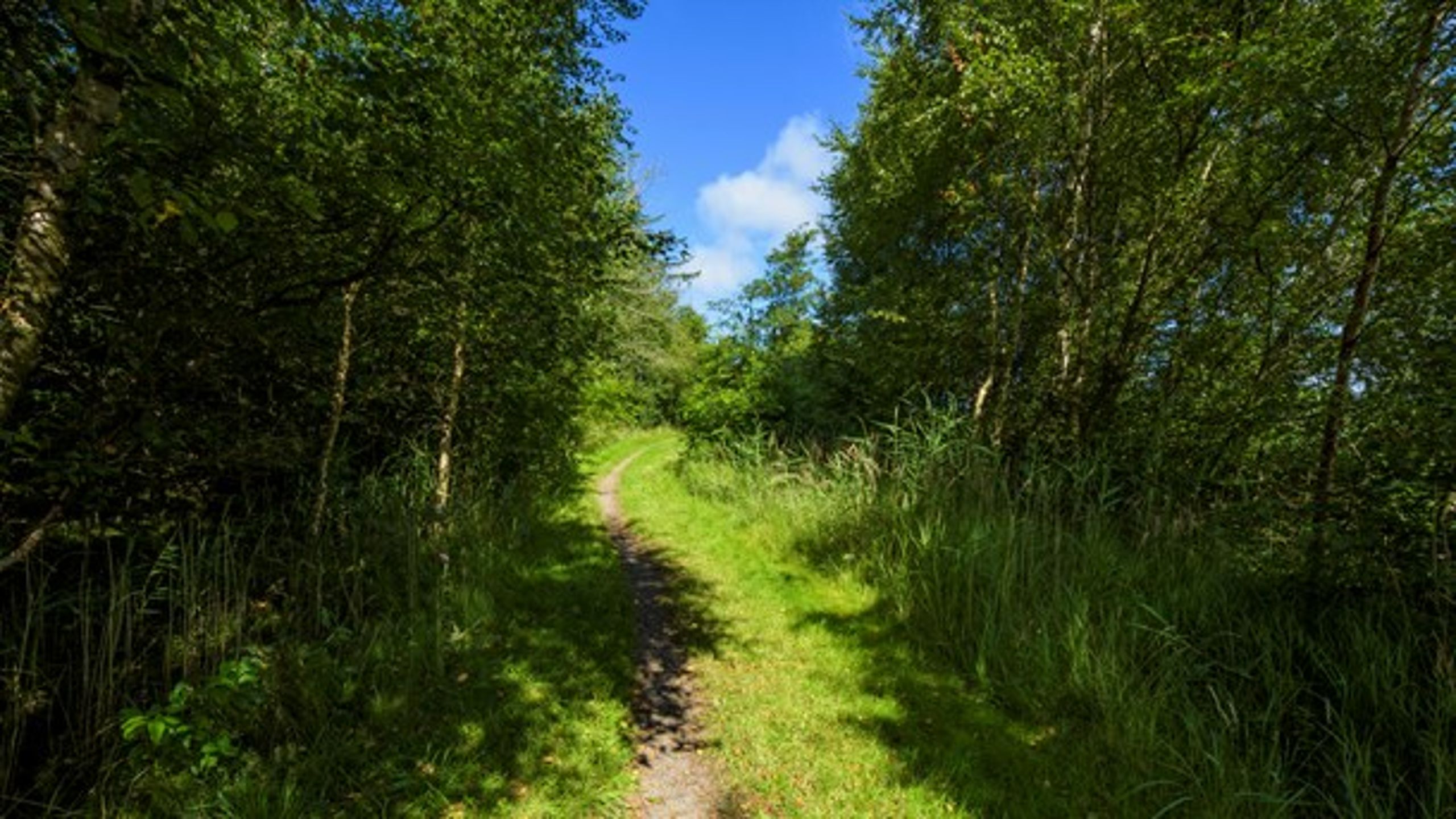 Som reglerne er nu, tvinges man til at fastfryse åbne naturarealer som potentielt landbrugsjord, skriver Stine Tuxen.