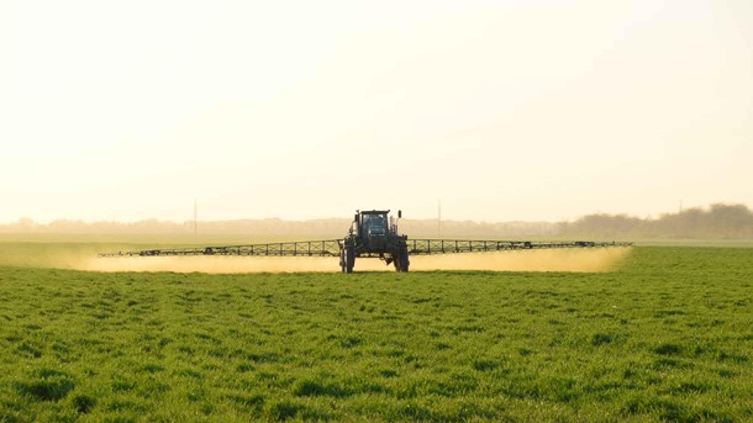 I Bruxelles tager de hul på slagsmålet om en forlængelse af tilladelsen til at bruge verdens mest udbredte ukrudtsmiddel, glyphosat.&nbsp;