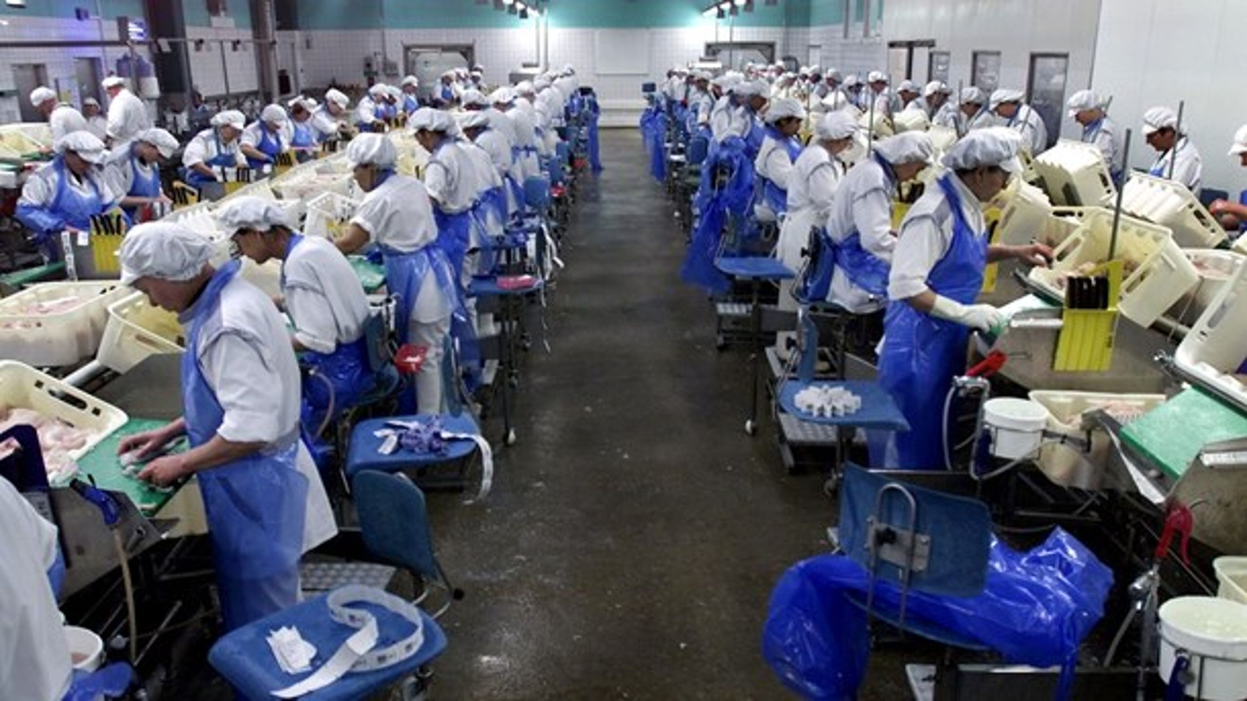 Arbejdere ved et samlebånd på&nbsp;en fiskeindustri på Bornholm.&nbsp;