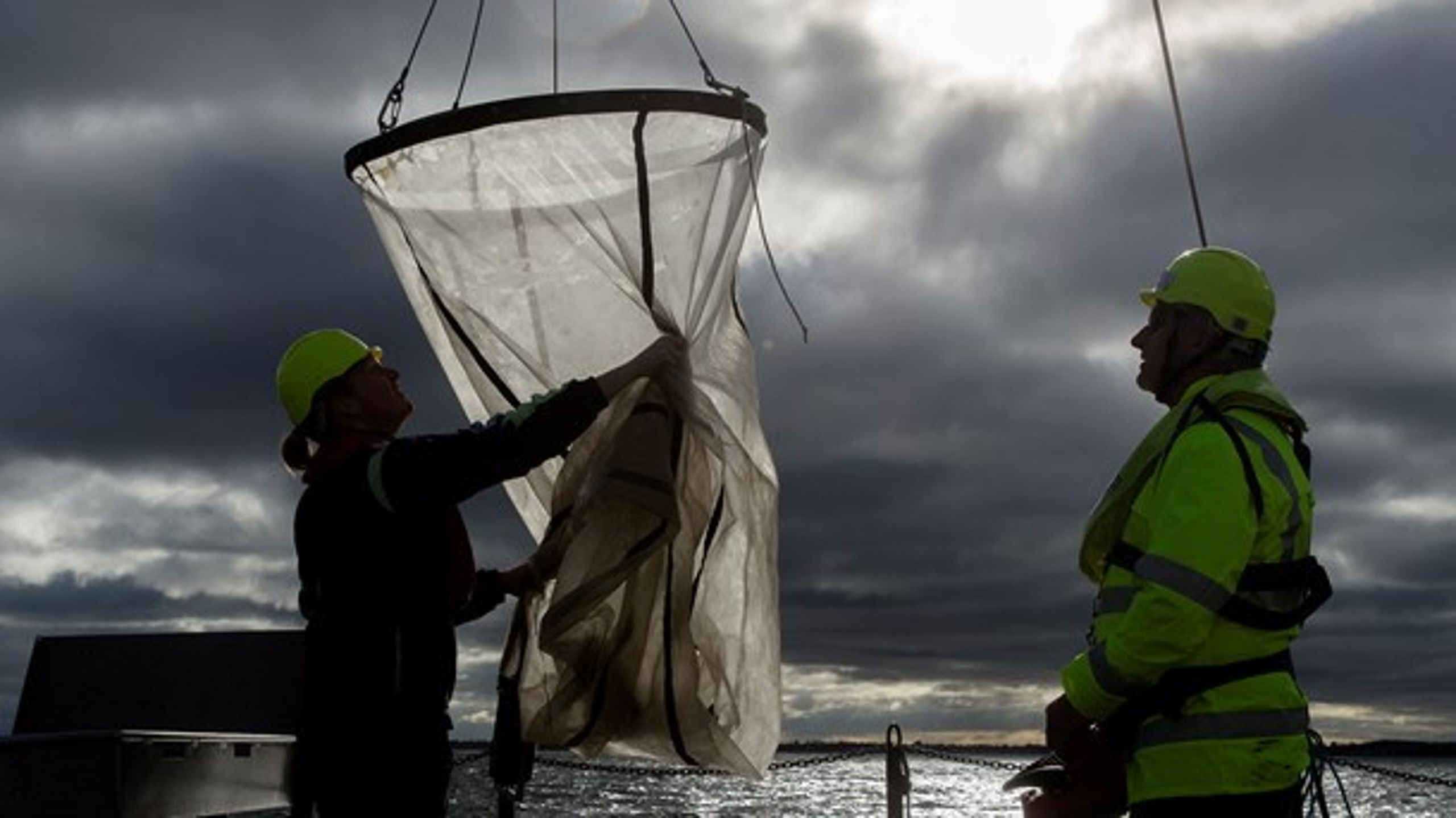 Plastikjagt i Køge Bugt.&nbsp;