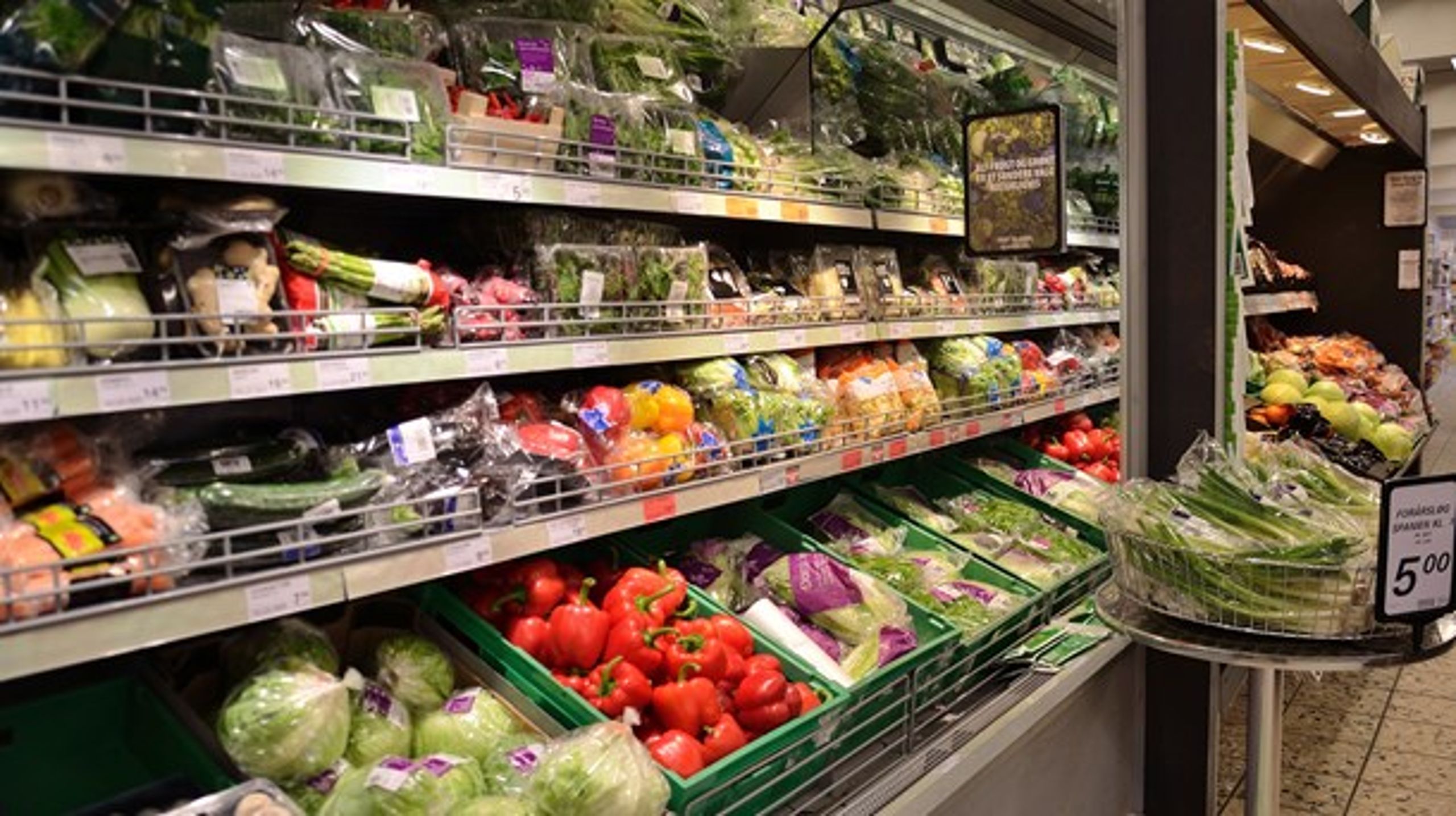 Skal vi alle være vegetarer? Sådan spørger Altinget et panel af aktører og politikere i et en ny debat.