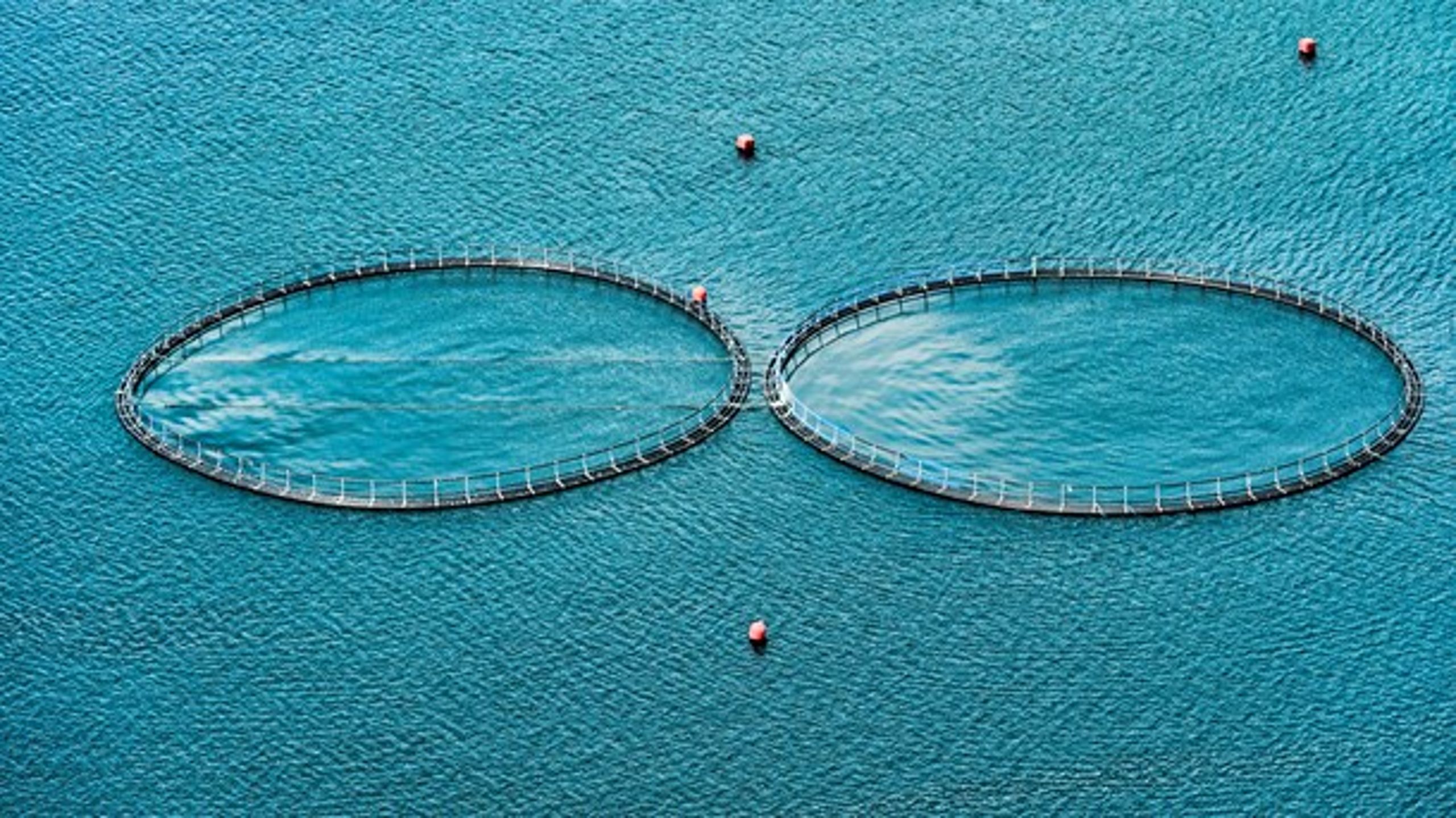 Folketinget bør ikke&nbsp;give tilladelse til nye havbrug, når man omkostningseffektivt kan producere fiskene i landbaserede anlæg med langt mindre miljøbelastning, mener&nbsp;Jørn Jespersen.&nbsp;