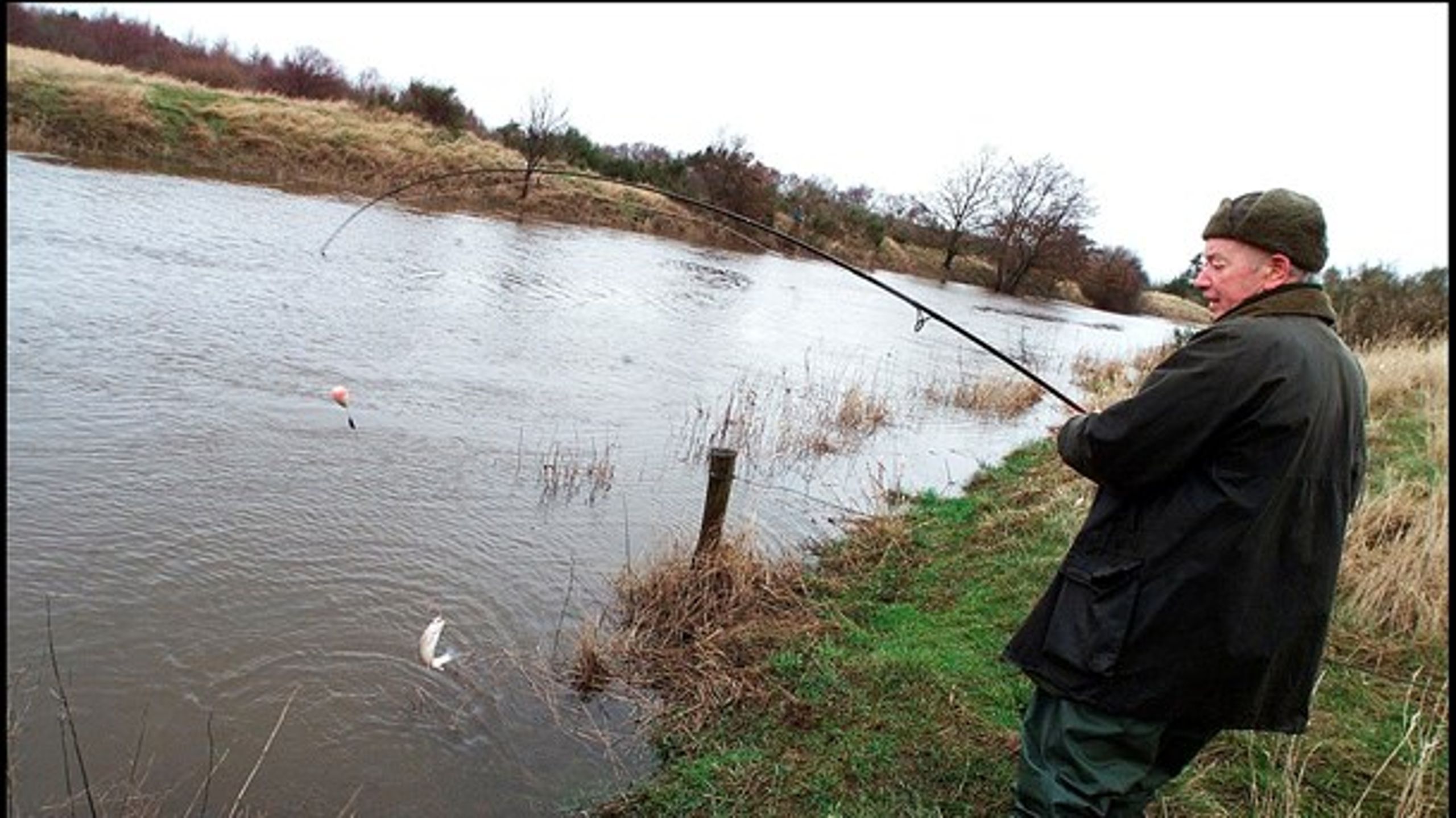 Vandløb skal både kunne rumme gode fiskebestande og sikre den nødvendige afvanding af jorden, skriver Dansk Sportsfiskerforbund og Landbrug &amp; Fødevarer.