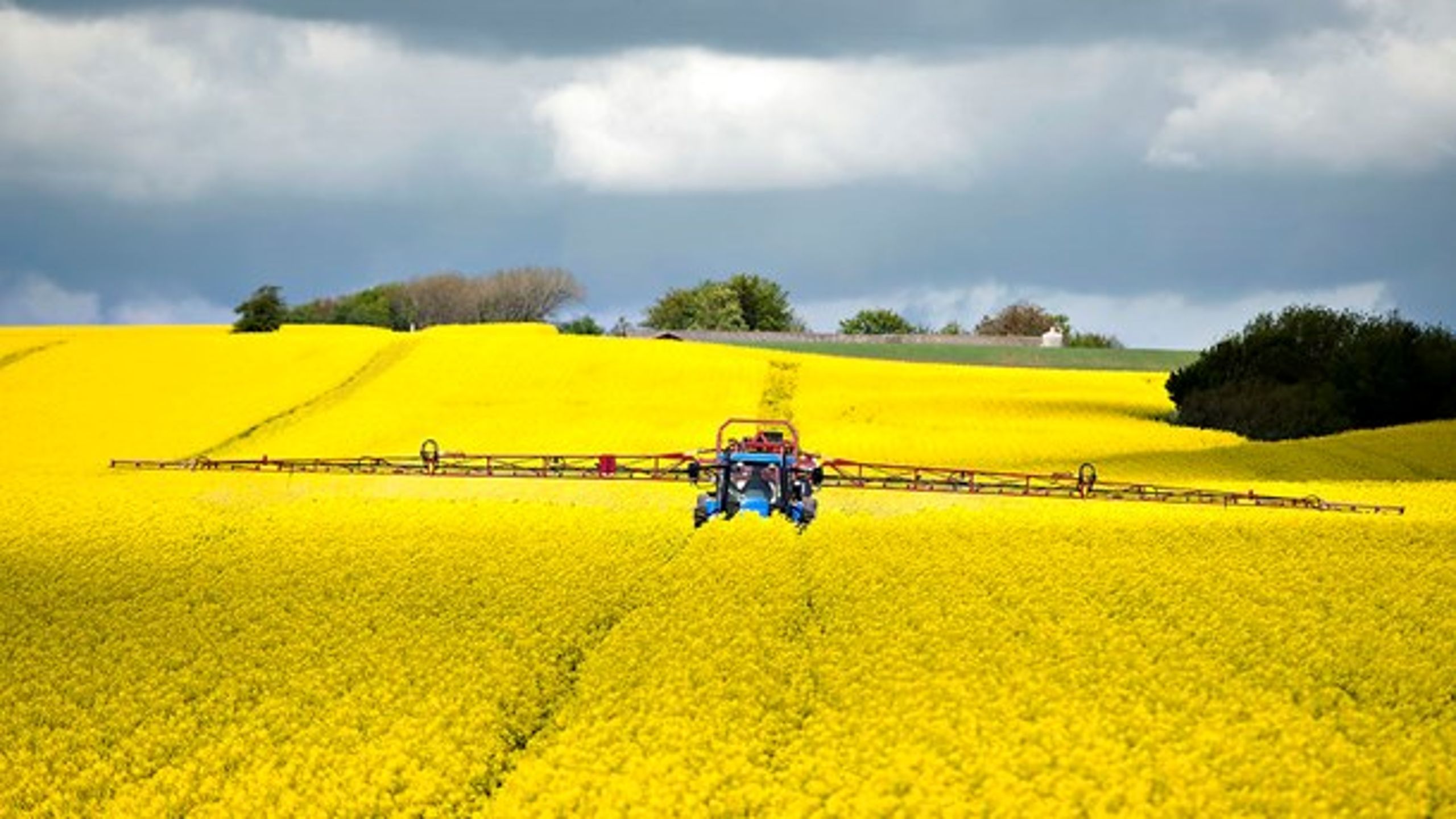 <b>STØTTE</b>: Landbrug &amp; Fødevarer bakker varmt op om forenklingsudvalgets anbefalinger, skriver Anders M. Klöcker.<br>