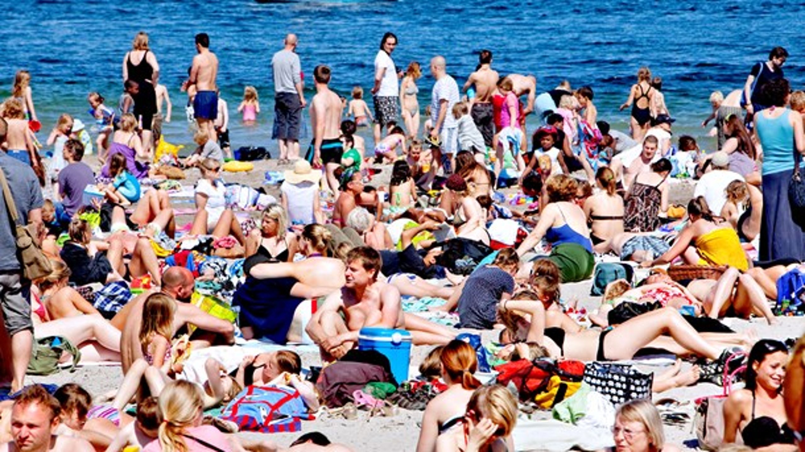 <b>0,01 Procent:</b> Vi har dejlig natur i Danmark - men hvor længe endnu, spørger Josephine Fock