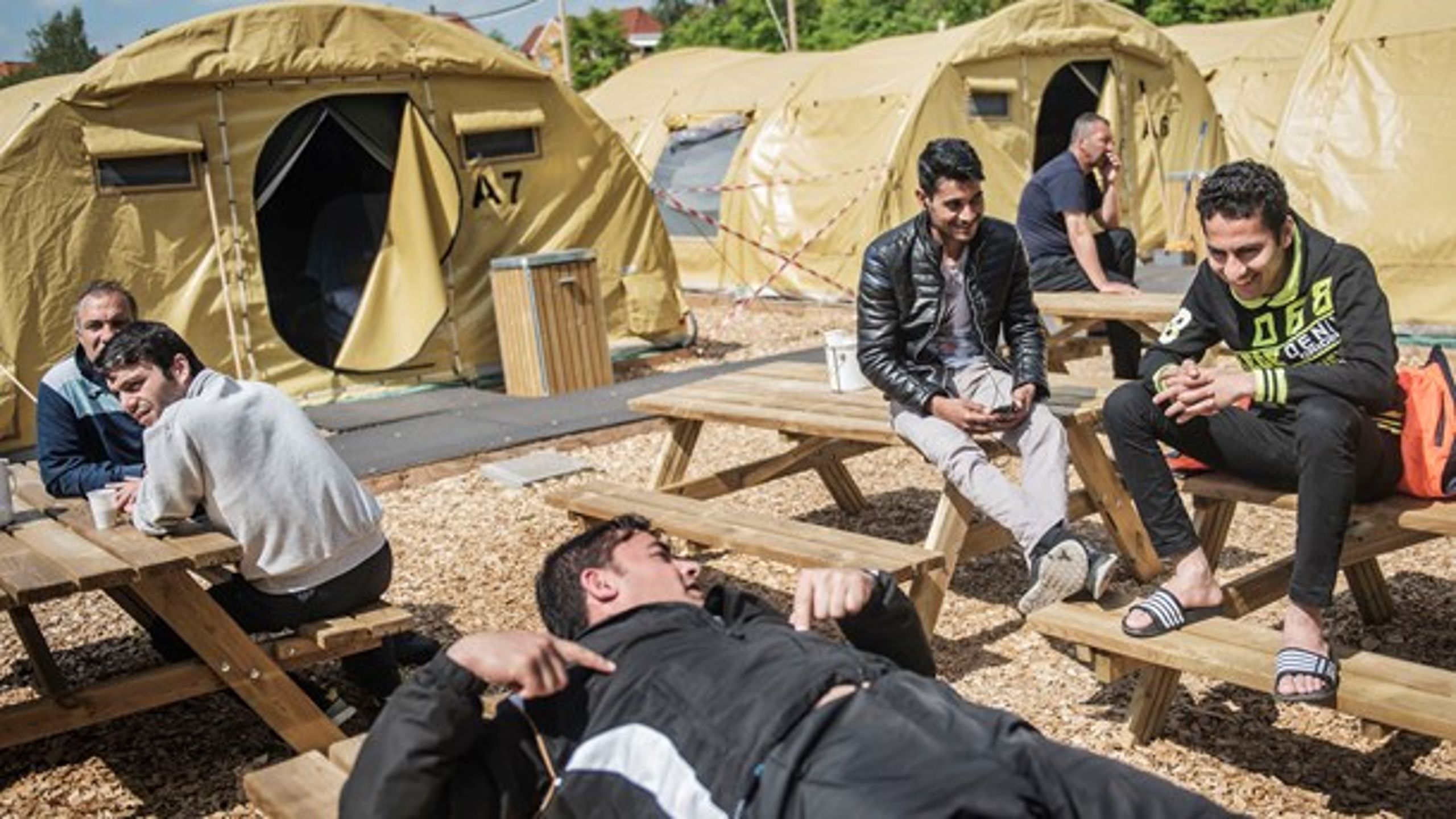 Den mindre virksomhed Næstved Sprog- og Integrationscenter har gennem 30 år&nbsp;stået for at undervise&nbsp;kommunens voksne udlændinge i dansk, men nu er samarbejdet endt i en højspændt konflikt. Arkivfoto fra asyllejren i Næstved, hvor en del af eleverne kommer fra.