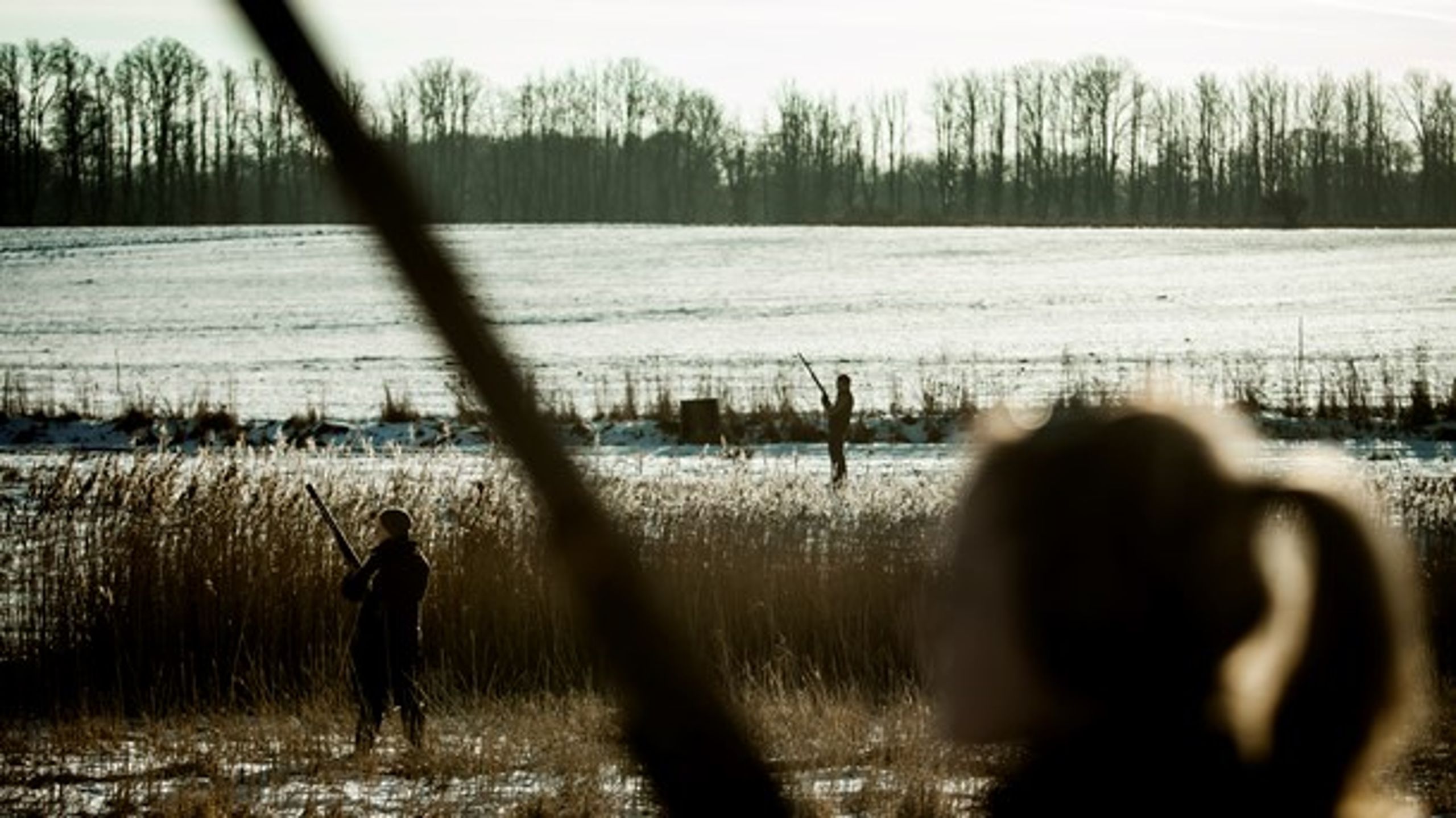 En etisk forsvarlig og vidensbaseret jagt og sanke-samle-tradition har et stort potentiale, mener Tine Gudrun Petersen.