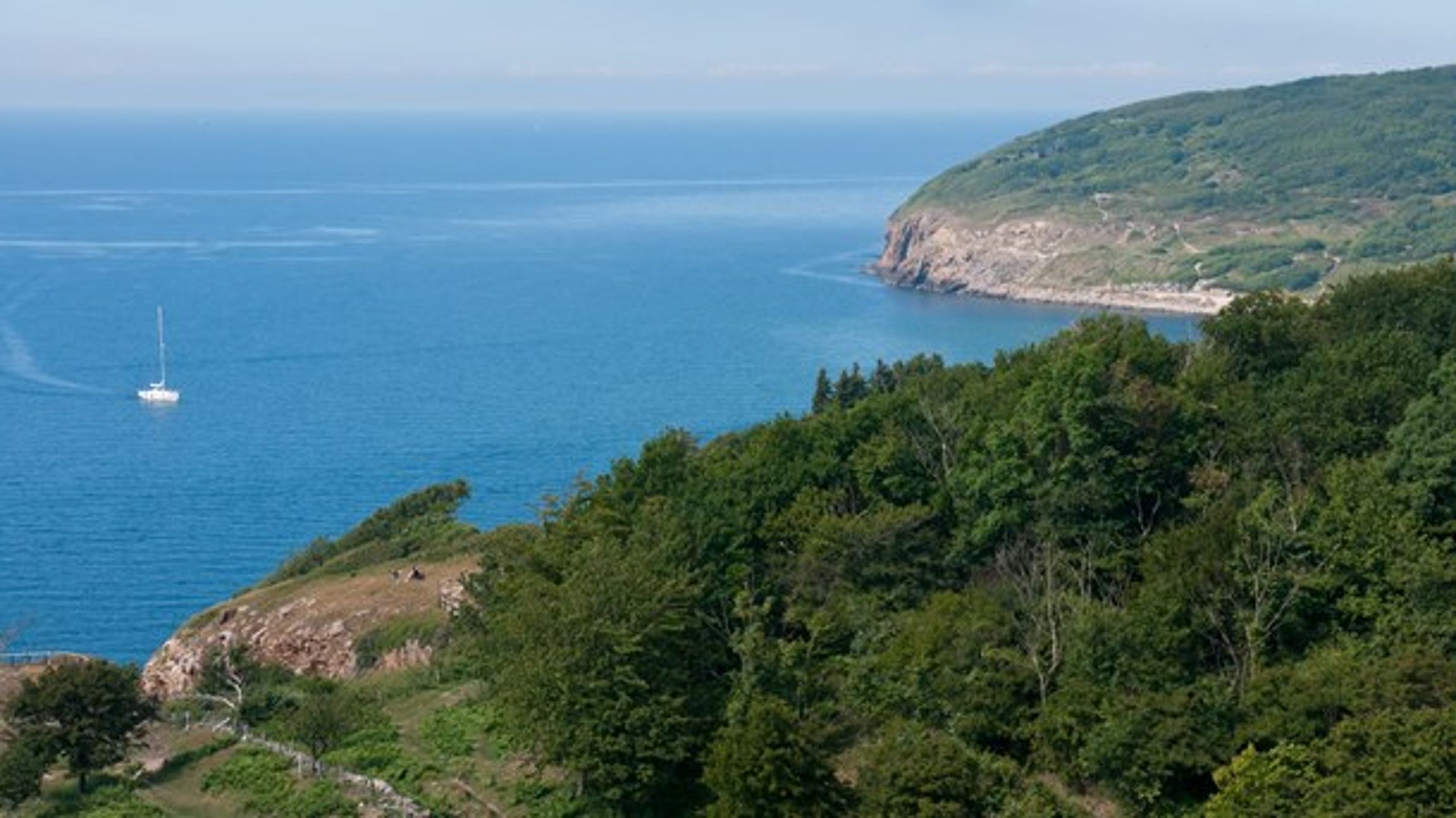 Cphbusiness har i sommer udvidet antallet af uddannelser på Bornholm. Studerende kunne således begynde på nye studieretninger som datamatiker og Innovation &amp; Entrepreneurship i august. Siden 2015 har Cphbusiness&nbsp;udbudt&nbsp;uddannelser på Bornholm. Eksempelvis som&nbsp;serviceøkonom og finansøkonom.