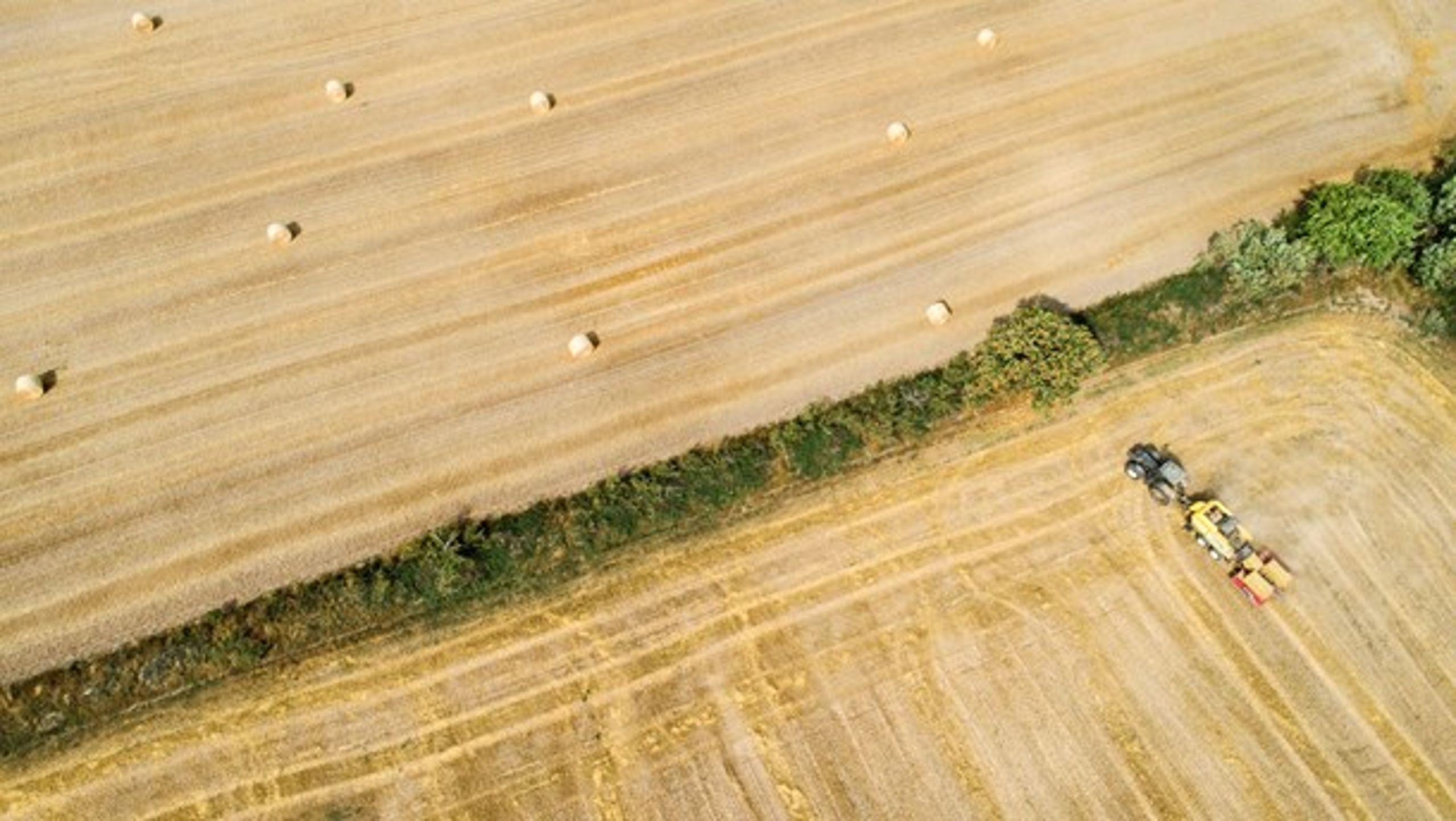 Der skal være langt mere åbenhed om pesticiders sundhedsrisici, mener Europa-Parlamentet (Foto: Anne Bæk/Ritzau Scanpix).