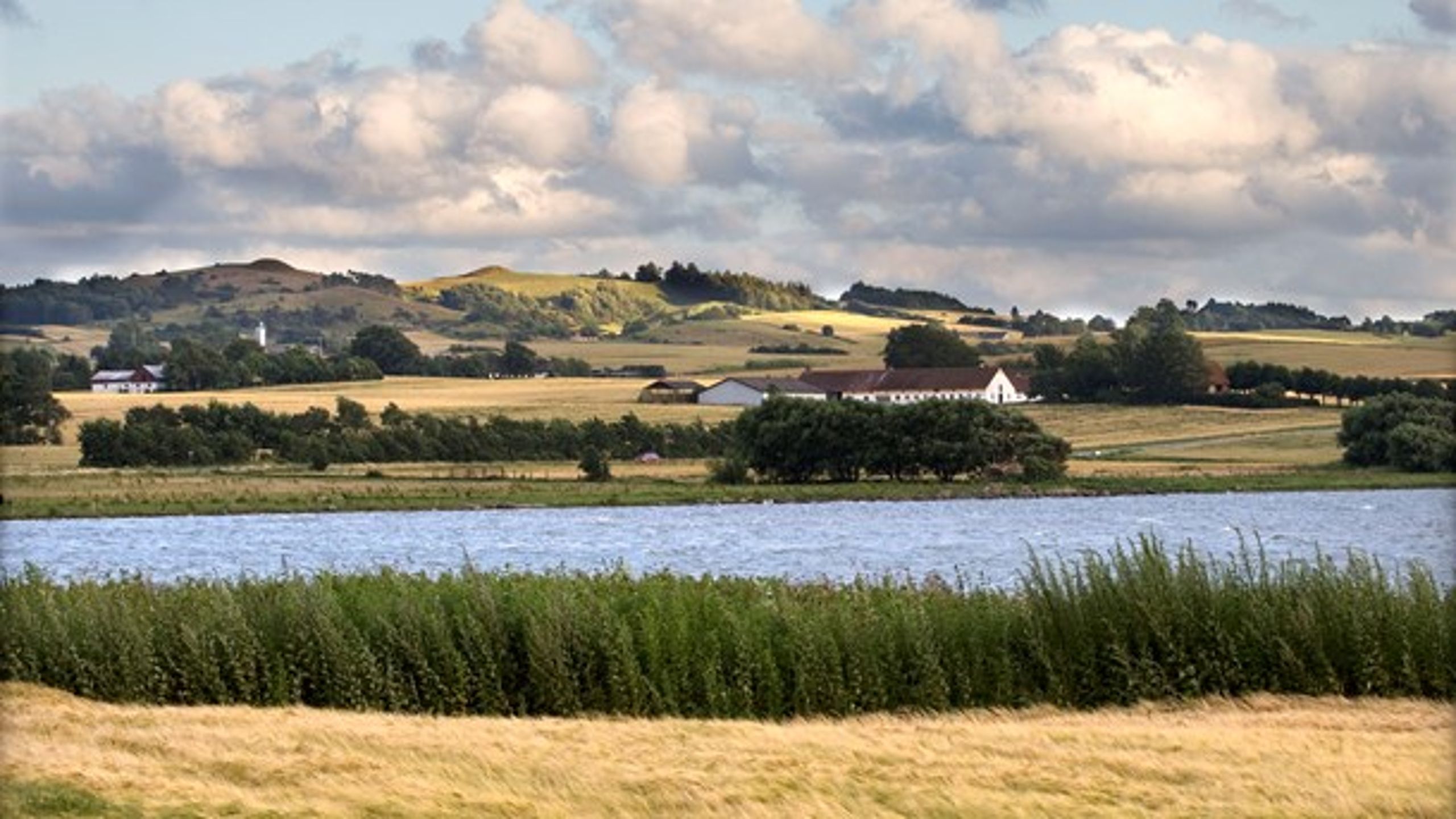 Lige nu har Naturstyrelsen et udbud med 290 hektar landbrugsjord i omdrift i Mols Bjerge.