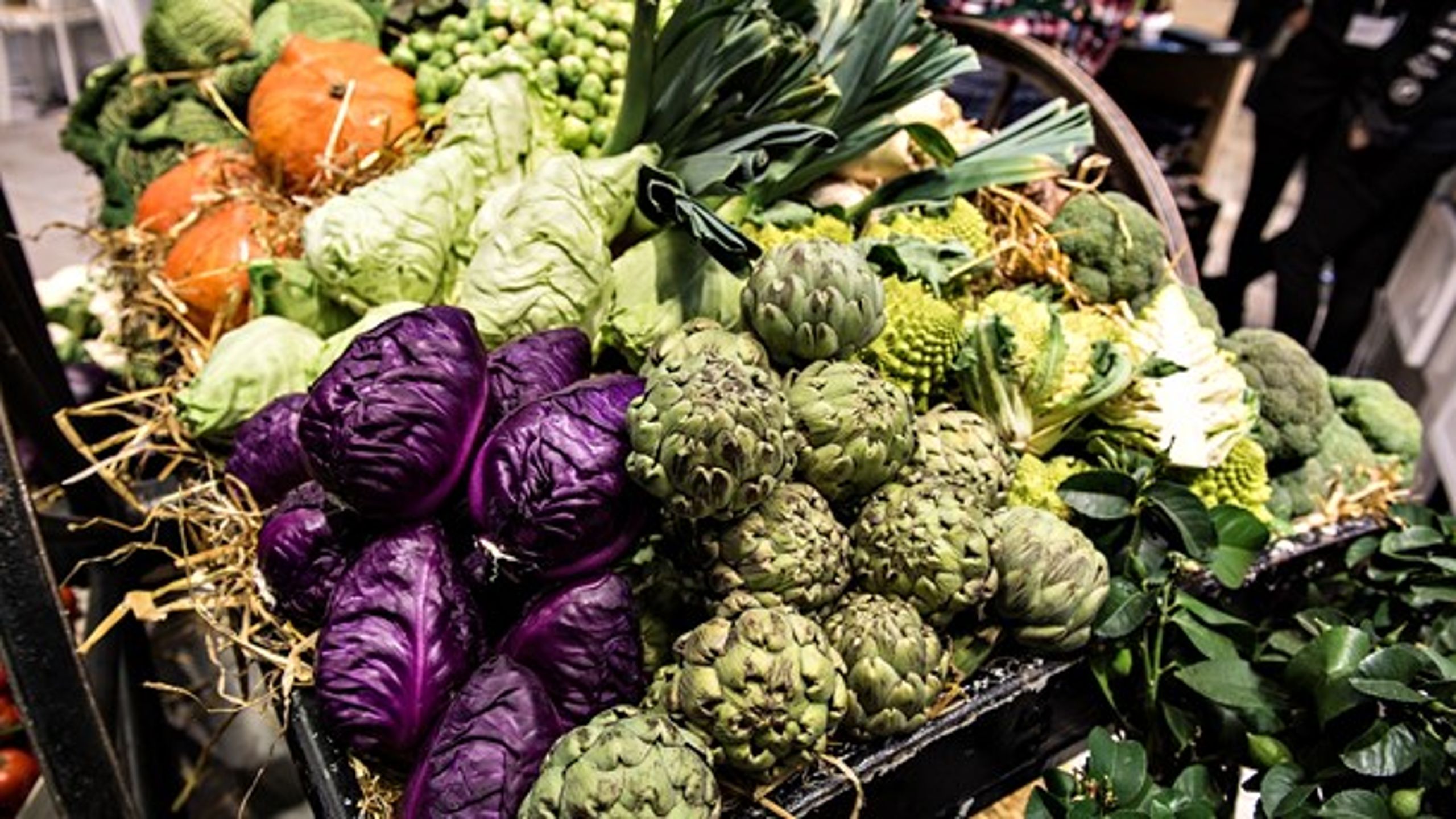 Et nyt folkemødekoncept om mad ser i denne uge dagens lys.&nbsp;