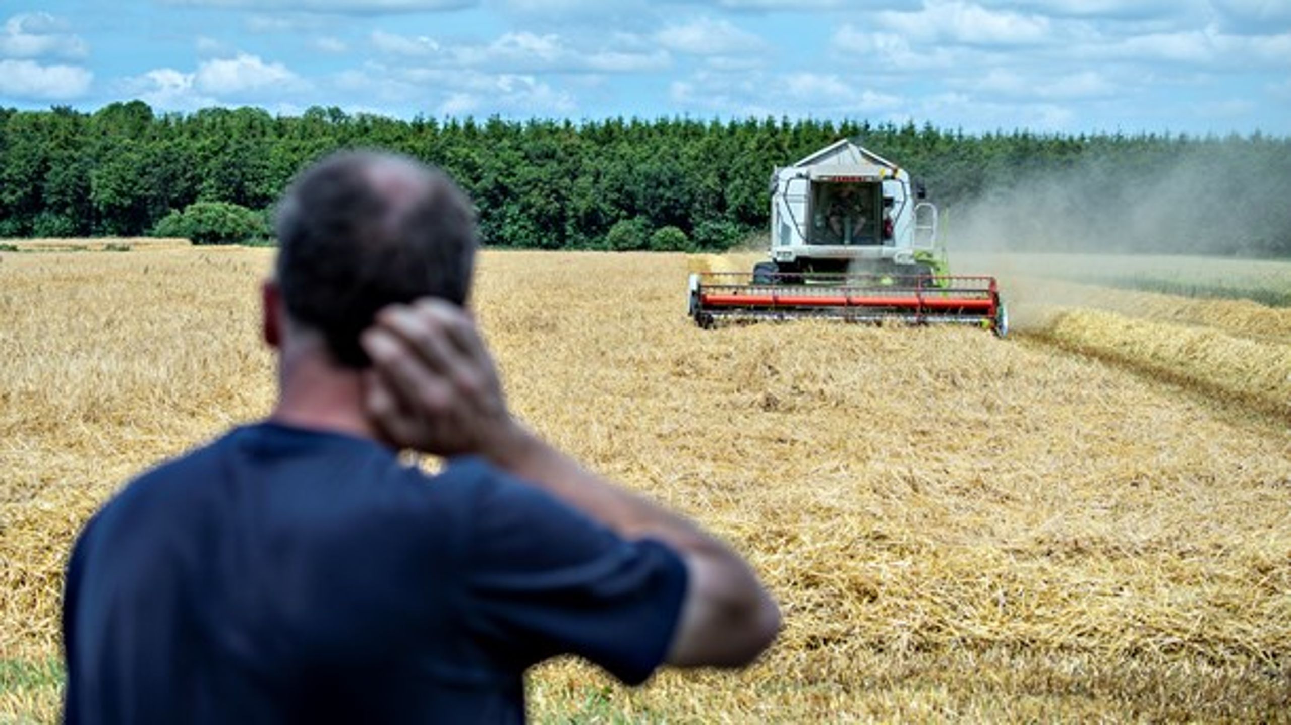 Det er vigtigt at inkludere de 12 procent, der bor på landet, i klima- og miljøindsatserne, skriver Søren Møller på vegne af Collective Impact-initiativet Det åbne land som dobbelt ressource.
