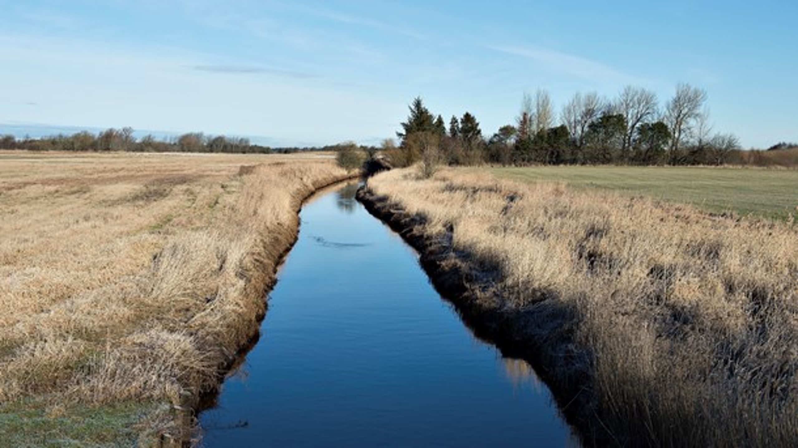 Der er brug for en langt mere målrettet tilgang til forvaltningen af vandløb i de kommende vandplaner, mener Anders Panum Jensen.