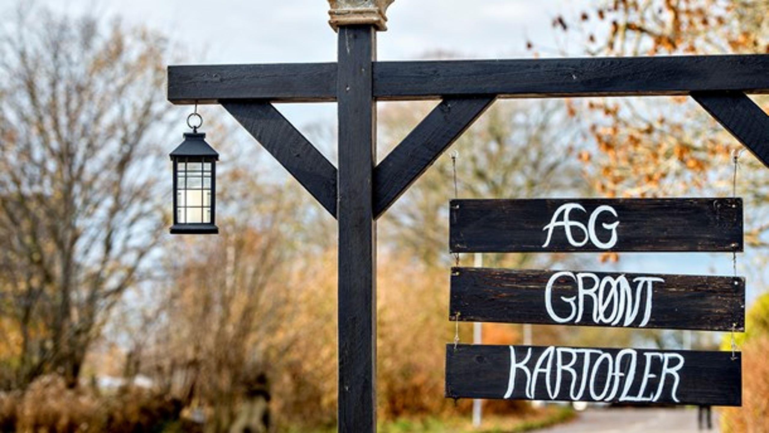 Der er et markedspotentiale for lokale, økologiske fødevarer,&nbsp;skriver Jørgen Dejgård Jensen.