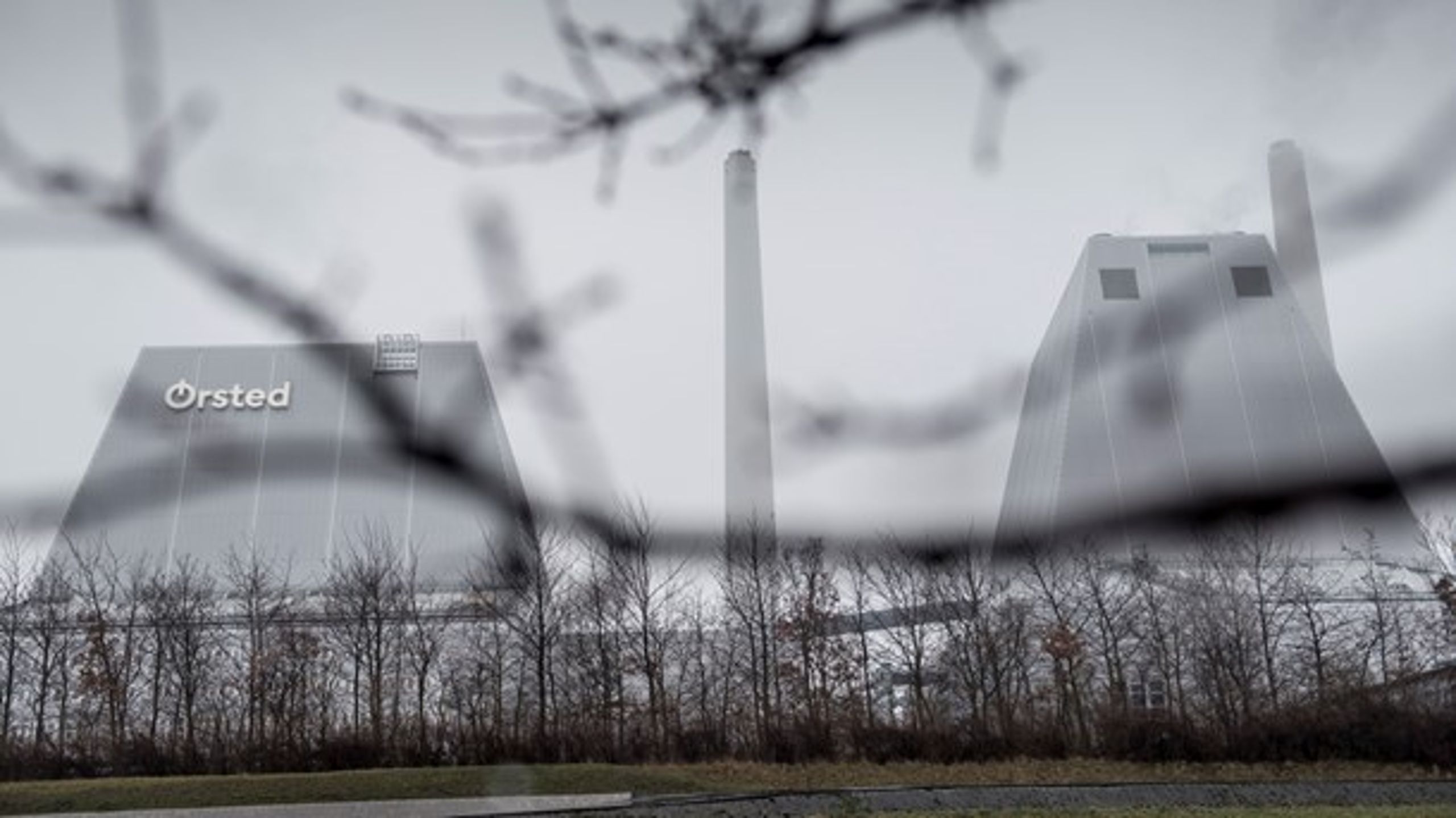 Ørsteds&nbsp;Peter Kofod Kristensen mener, at TV 2 har påstået, at "hele skove fældes for at blive brændt af på danske kraftværker". Det har vi aldrig gjort, svarer TV 2 igen.