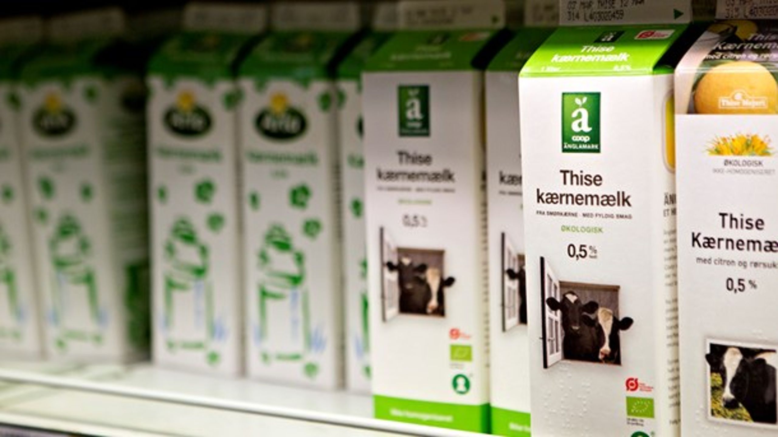 Thise Mejeri og Arla er nogle af Danmarks økologiske succeshistorier, der rækker ud i verden, mener Lise Walbom.<br>