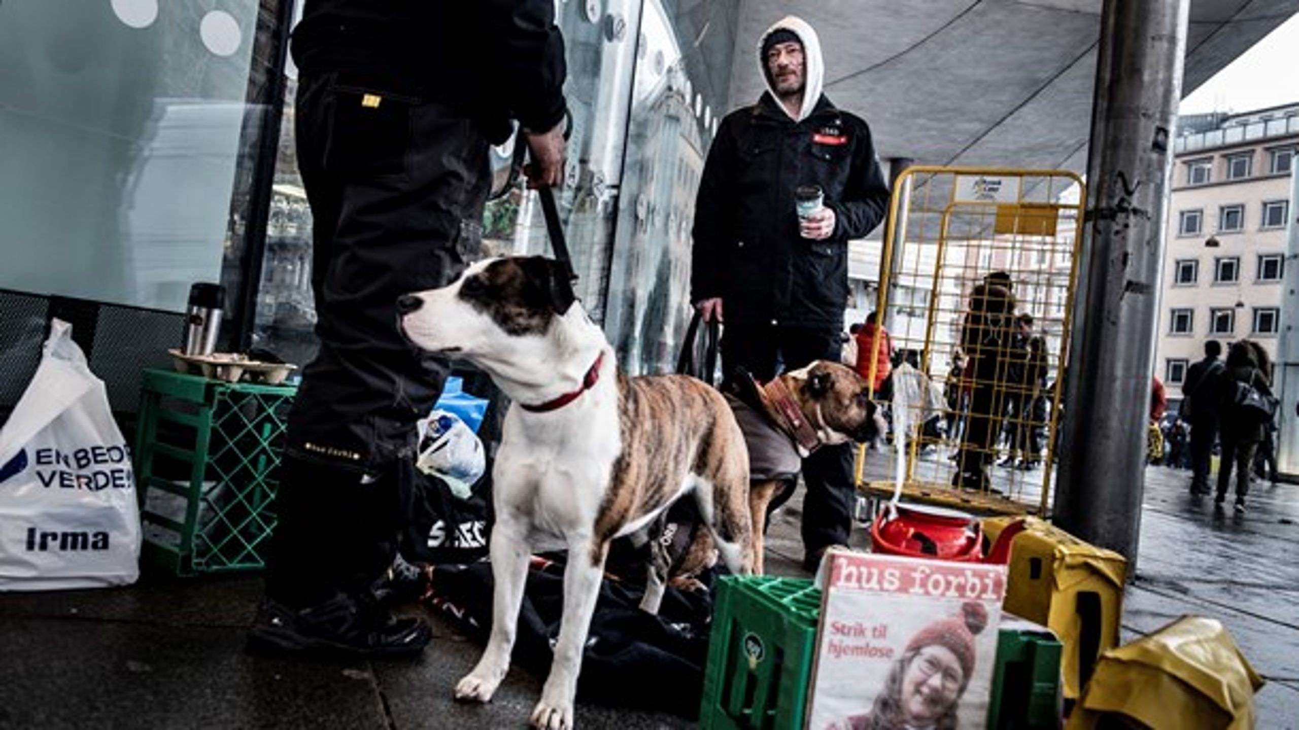 Den nye hjemløshedstælling viser, at gruppen af ældre hjemløse er i stigning. Det kan betyde, at flere ældre borgere bliver optaget på forsorgshjem, mener SBH.