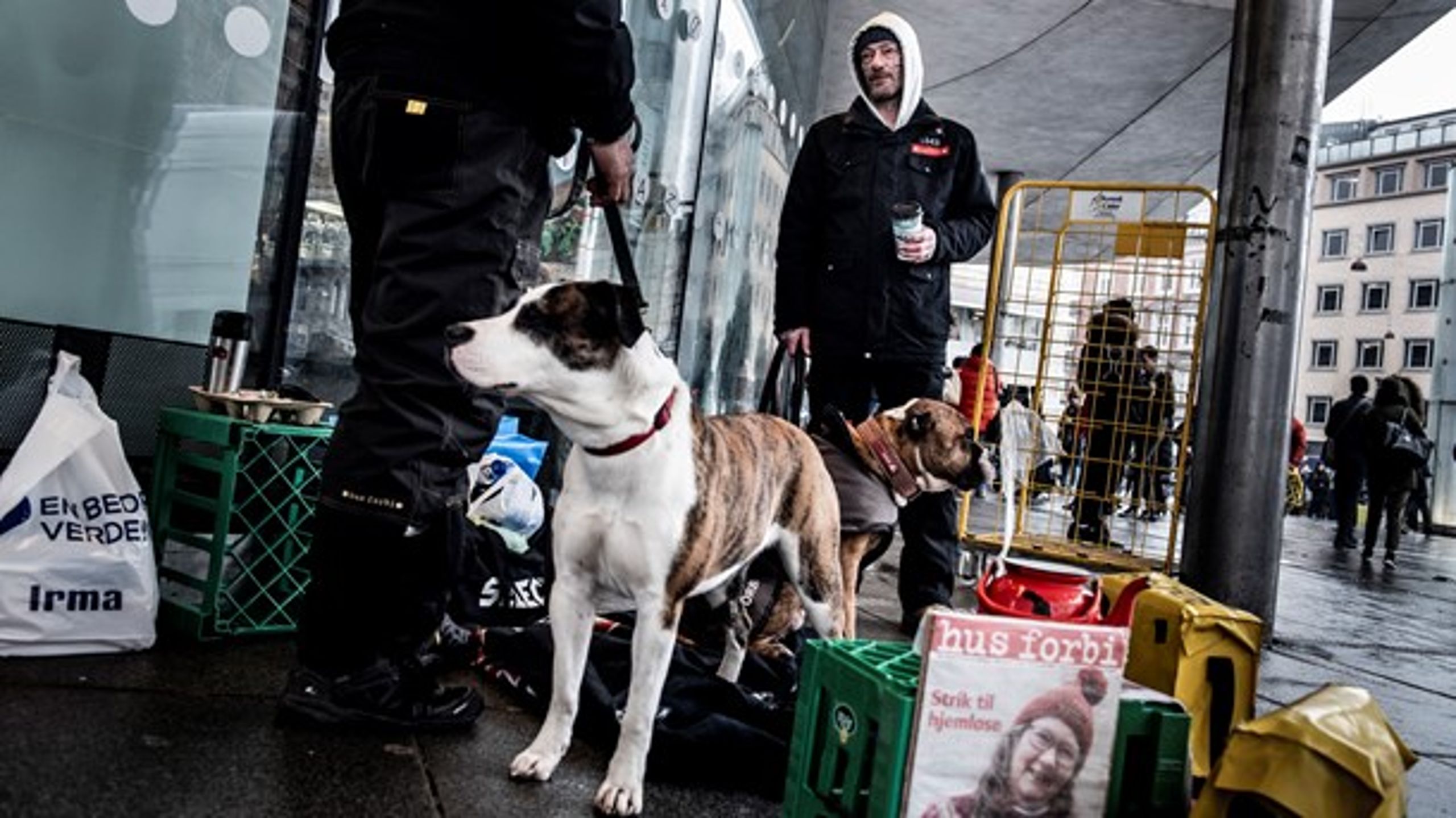 Lovgivningen er uhensigtsmæssig, fordi kommunerne kun kan tilbyde en midlertidig bolige til unge under uddannelse og ikke til ældre hjemløse, mener KL.