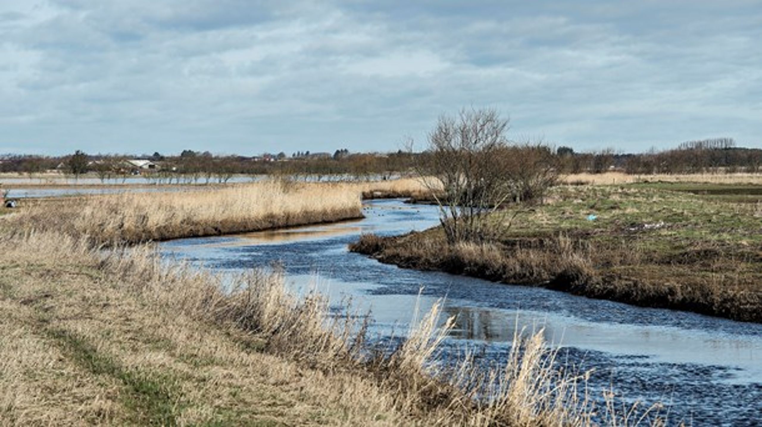 Alt for mange landmænd oplever, at naturen – frem for at være et positivt element på bedriften – bliver årsag til begrænsninger for landbrugsdriften, skriver Anders Panum Jensen.