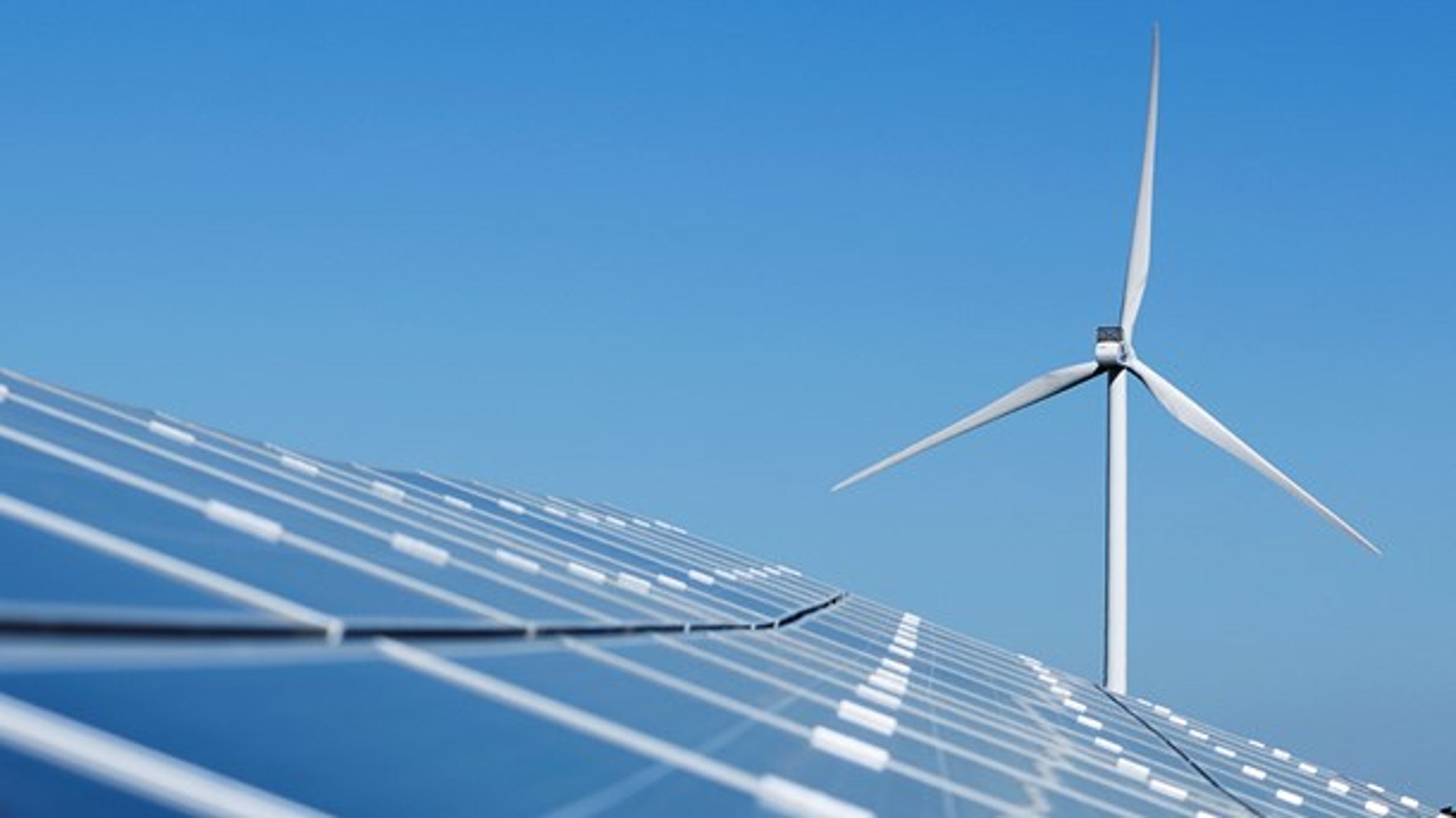 EU bør i højere grad understøtte virksomheder, der udvikler vedvarende energi, mener Anders Ladefoged og Troels Ranis.&nbsp;