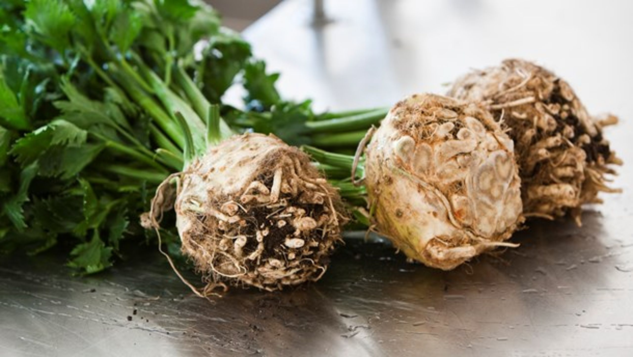 Sunde principper er altså nemme at tilslutte sig. Men hvordan er det nu egentlig lige, man tilbereder en knoldselleri? skriver Judith Kyst fra Madkulturen.