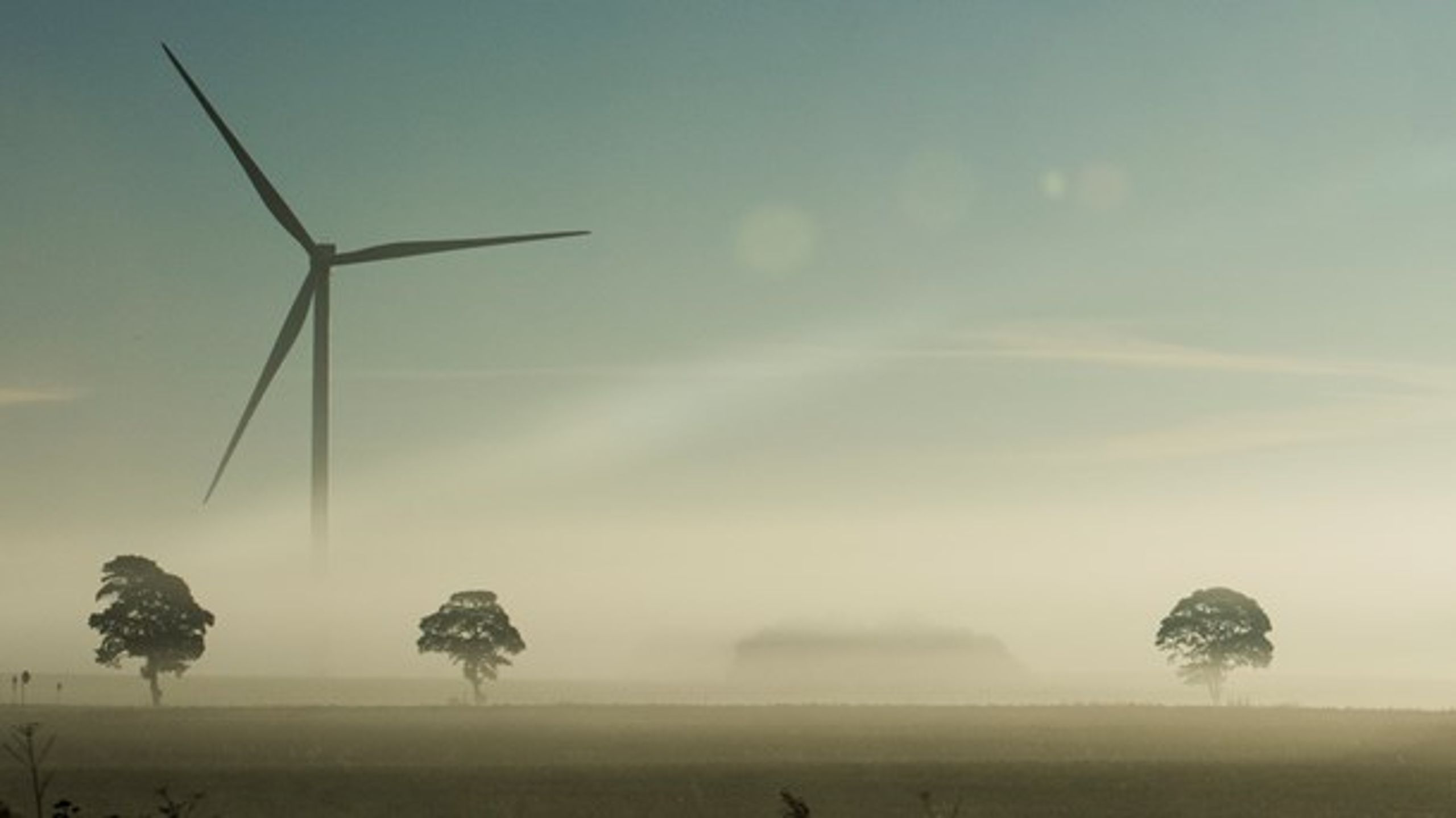 Branchen for vedvarende energi kommer tættere på at være selvkørende, men branchen når ikke i mål, hvis støtten droppes, mener direktør for European Energy.