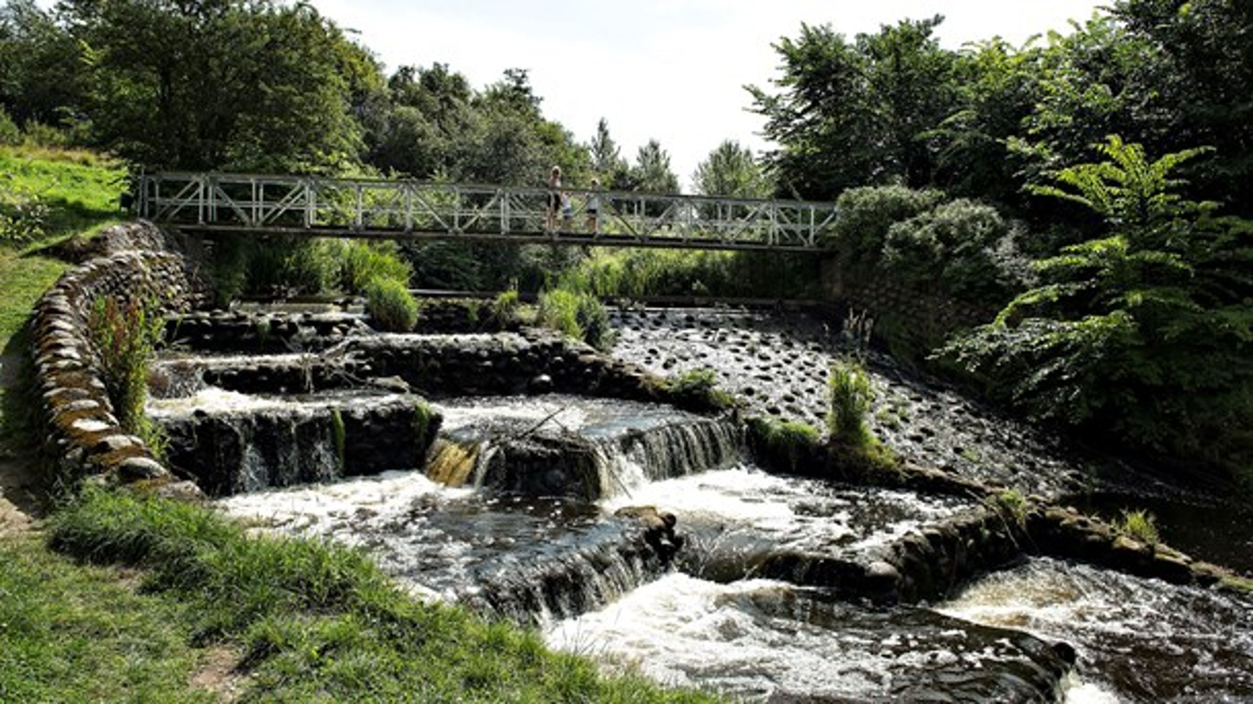 "Vandværksskov" beskytter grundvand og vandreservoirer under vandværkets boringer, skriver Susan Münster.