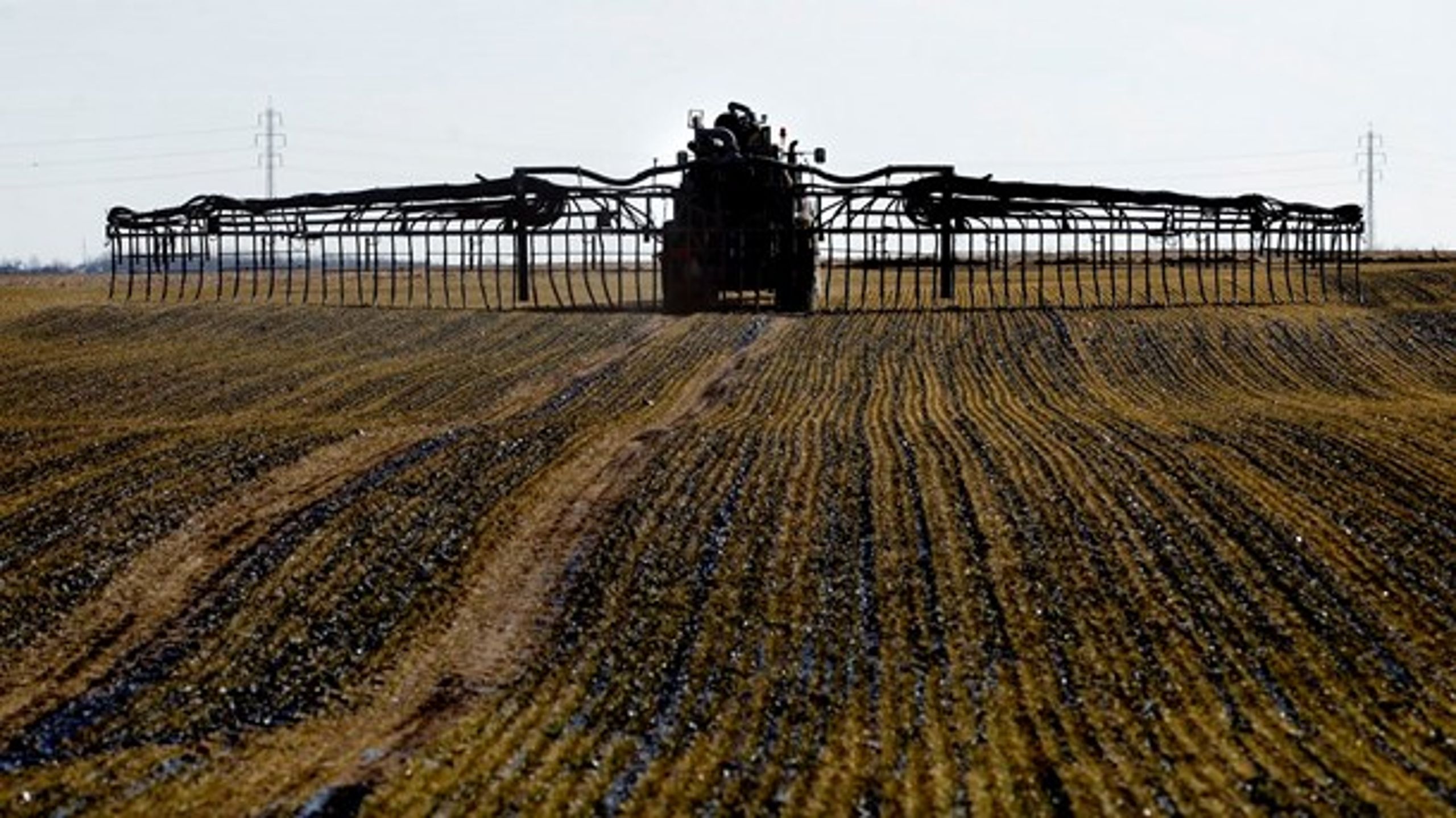 Landmand kører gylle på sine marker ved Lemvig. Nu viser nye tal fra Aarhus Universitet, at klimabelastningen fra kvæggylle er langt større end tidligere beregnet.&nbsp;