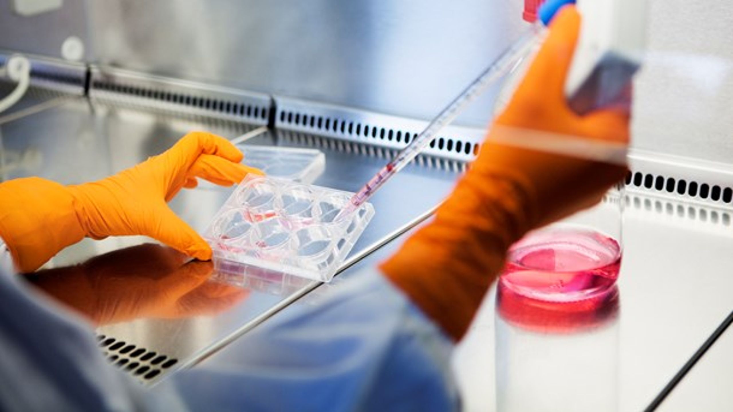 En europæisk vaccine produktion og fortsat
sundhedsmæssig indsats kræver endnu mere politisk handling og opbakning, mener&nbsp;Pharmadanmark.