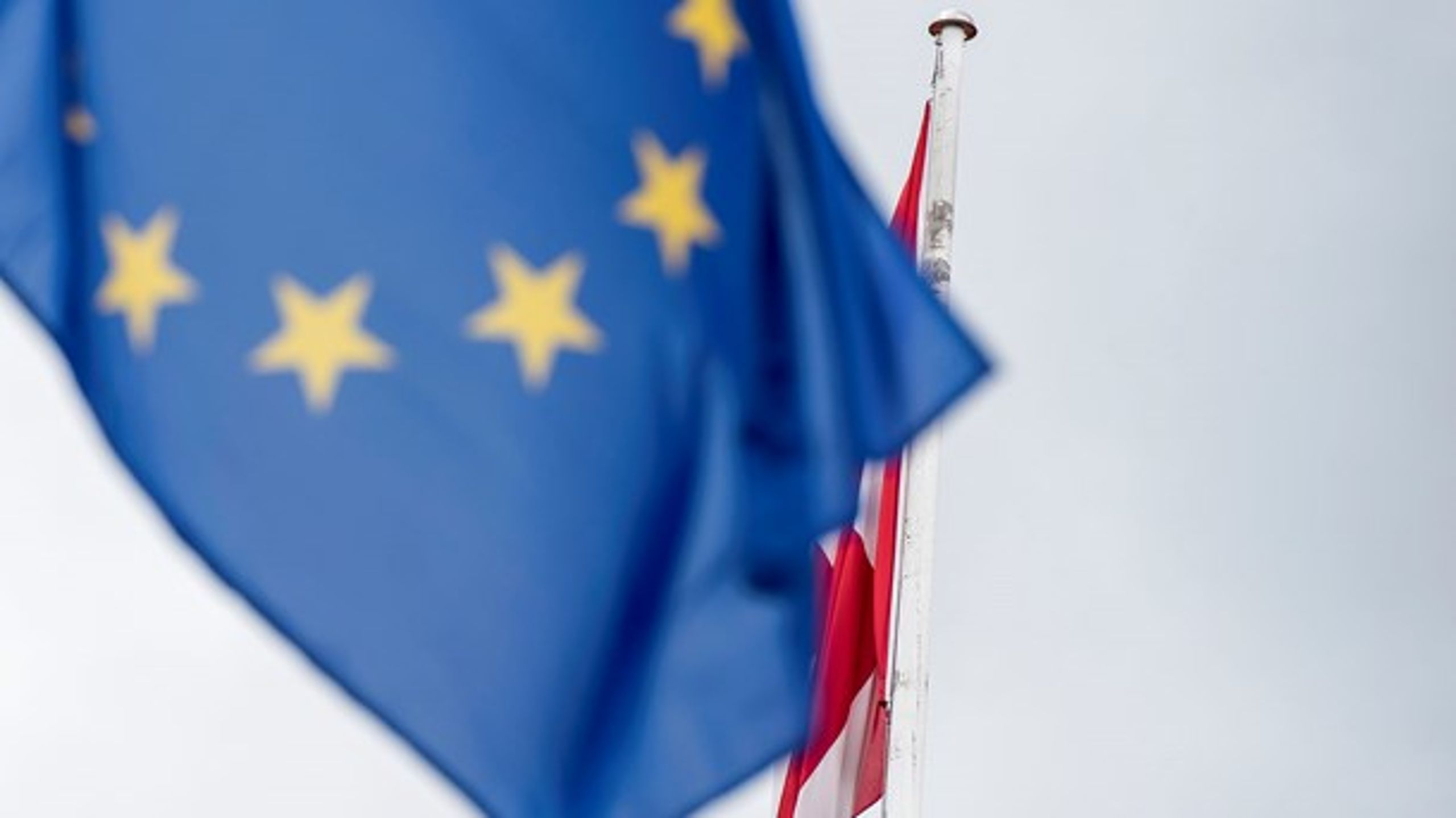 EU-Kommissionen har både indført tiltag, der skal sikre, at landbrugsstøtten kan blive
udbetalt rettidigt, men også en række markedstiltag, som vækker dansk kritik.<br>