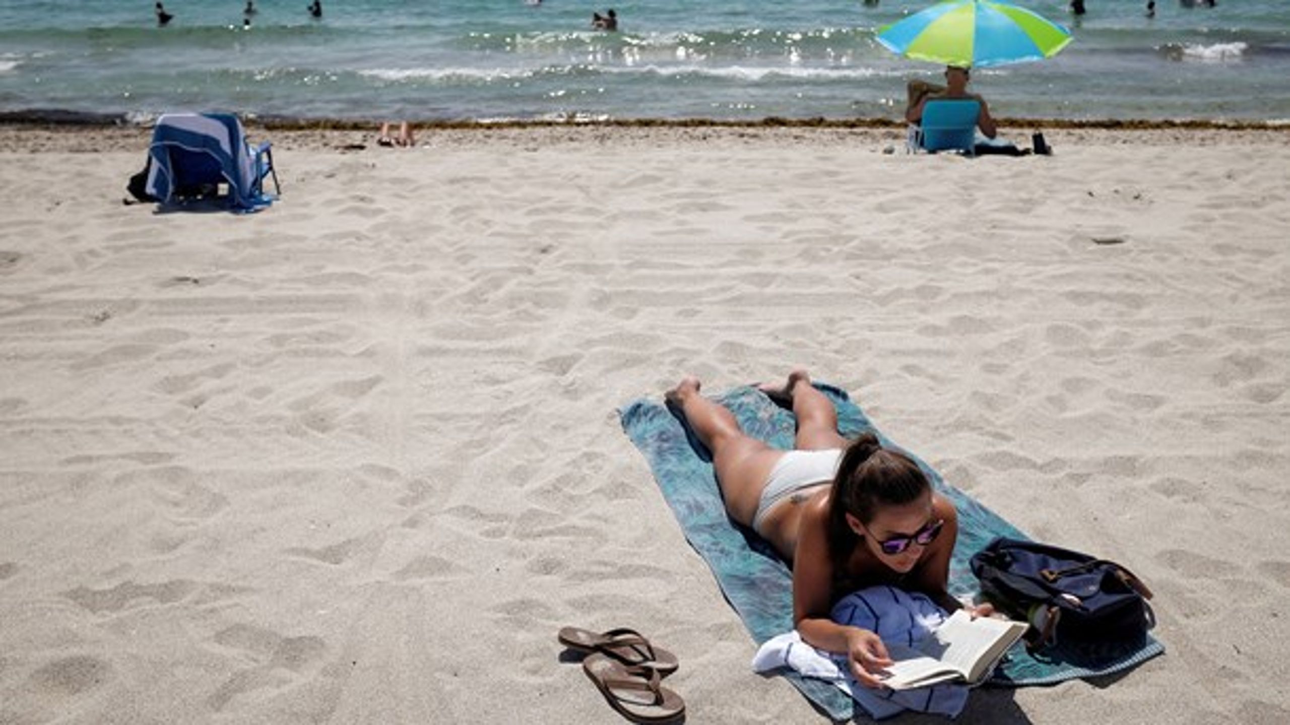 Sommerferietid betyder læsetid. Altinget bringer overblik over årets bedst anmeldte bøger.&nbsp;