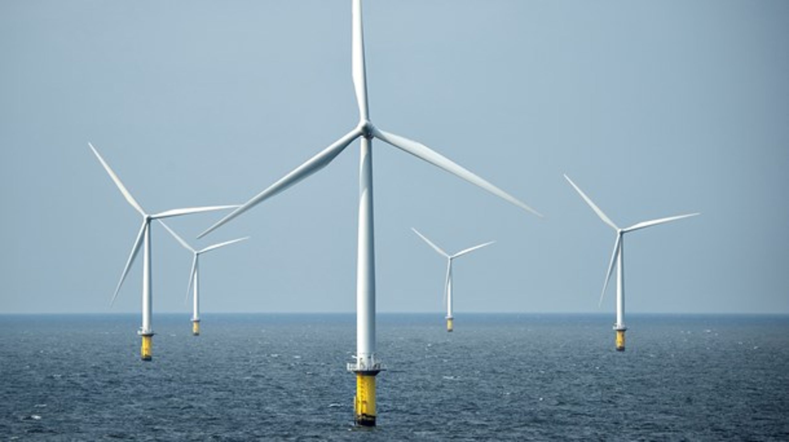 Impactful Jobs formidler jobs hos blandt andre energiselskabet Ørsted.