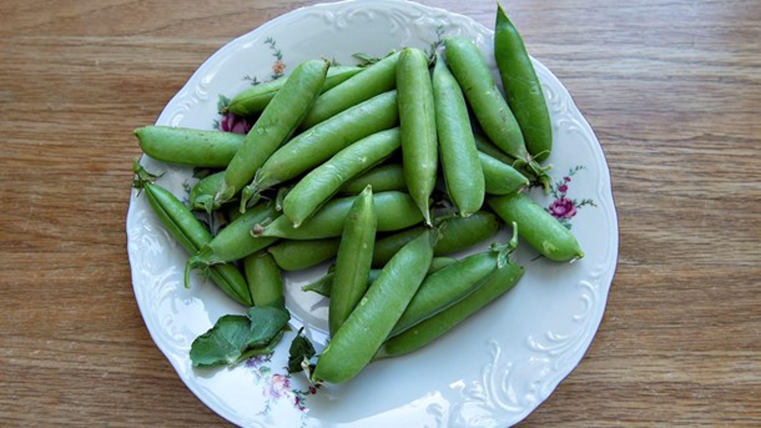 Rune-Christoffer Dragsdahl mener, at vi skal "undersøge potentialet i gamle, glemte bælgfrugter fra fortidens skatkammer."
