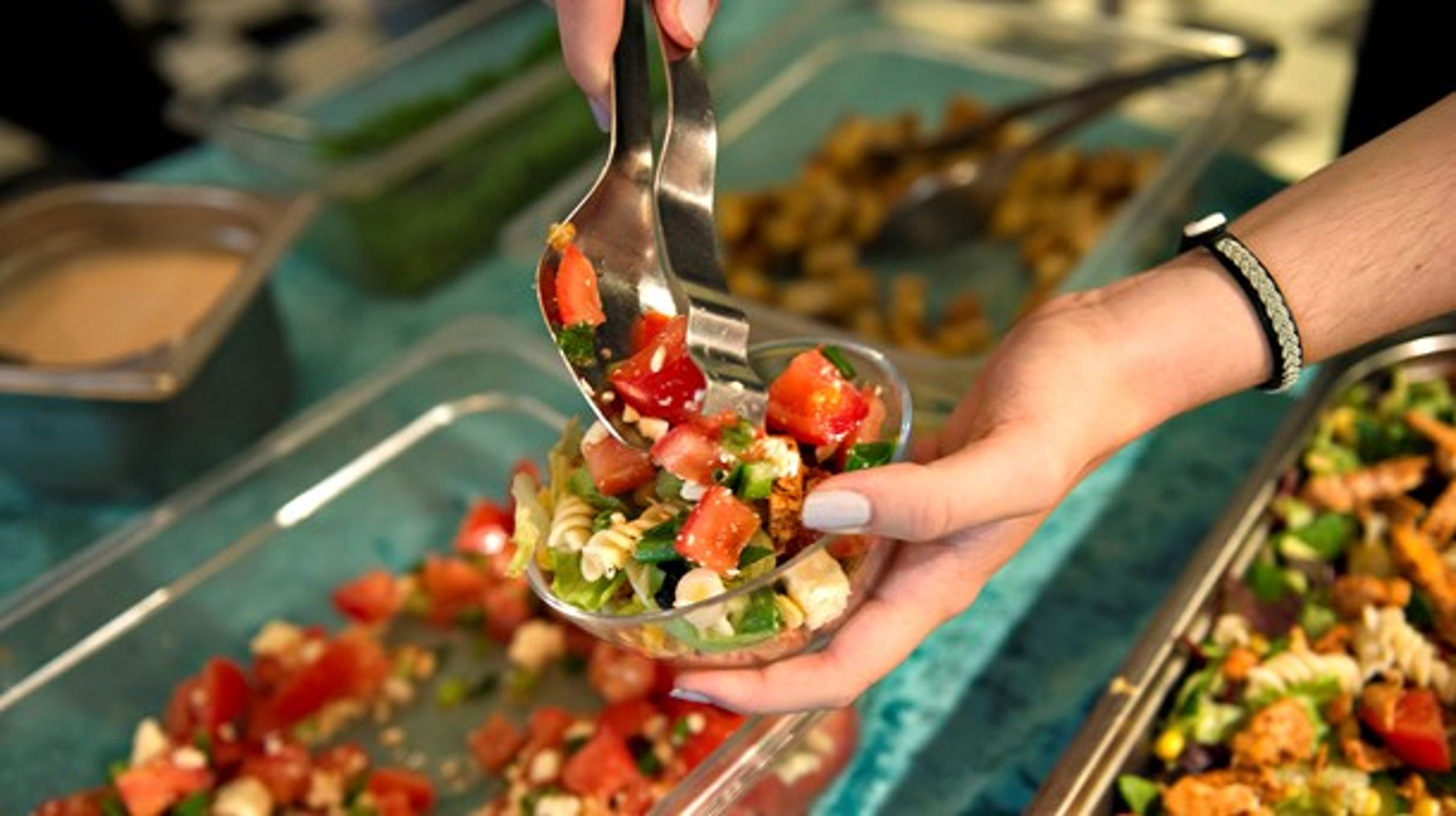 Vegetariske måltider i de statslige kantiner var bladnt regeringens forslag til grønne indkøb, men eller var det ifølge kritikere tyndt med mål og krav i ny strategi.