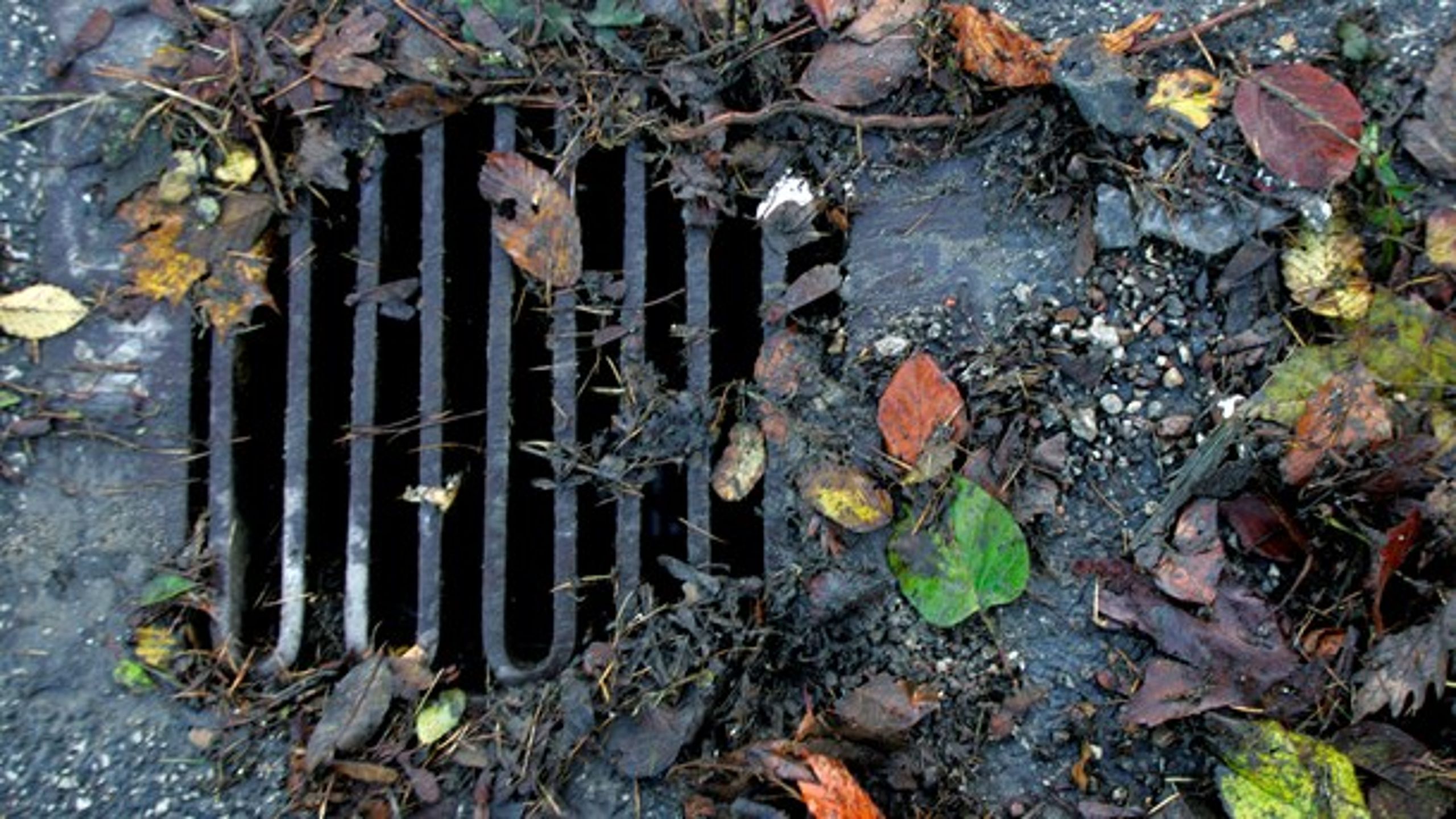 Når forsyningen alligevel er ude at se på kloakker, må den ikke gøre noget ved de kommunale vejbrønde, skriver Dorthe la Cour (K).