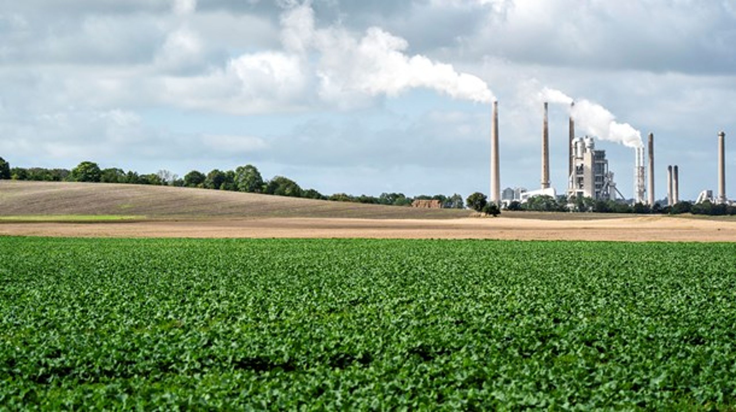 Tidligere i år indgik regeringen et klimasamarbejde med Aalborg Portland (billedet). Nu er turen til Nordic Sugar på Lolland og Falster. Den aftale må ikke ende med investeringer i ny fossil energi, lyder det fra Greenpeace.&nbsp;