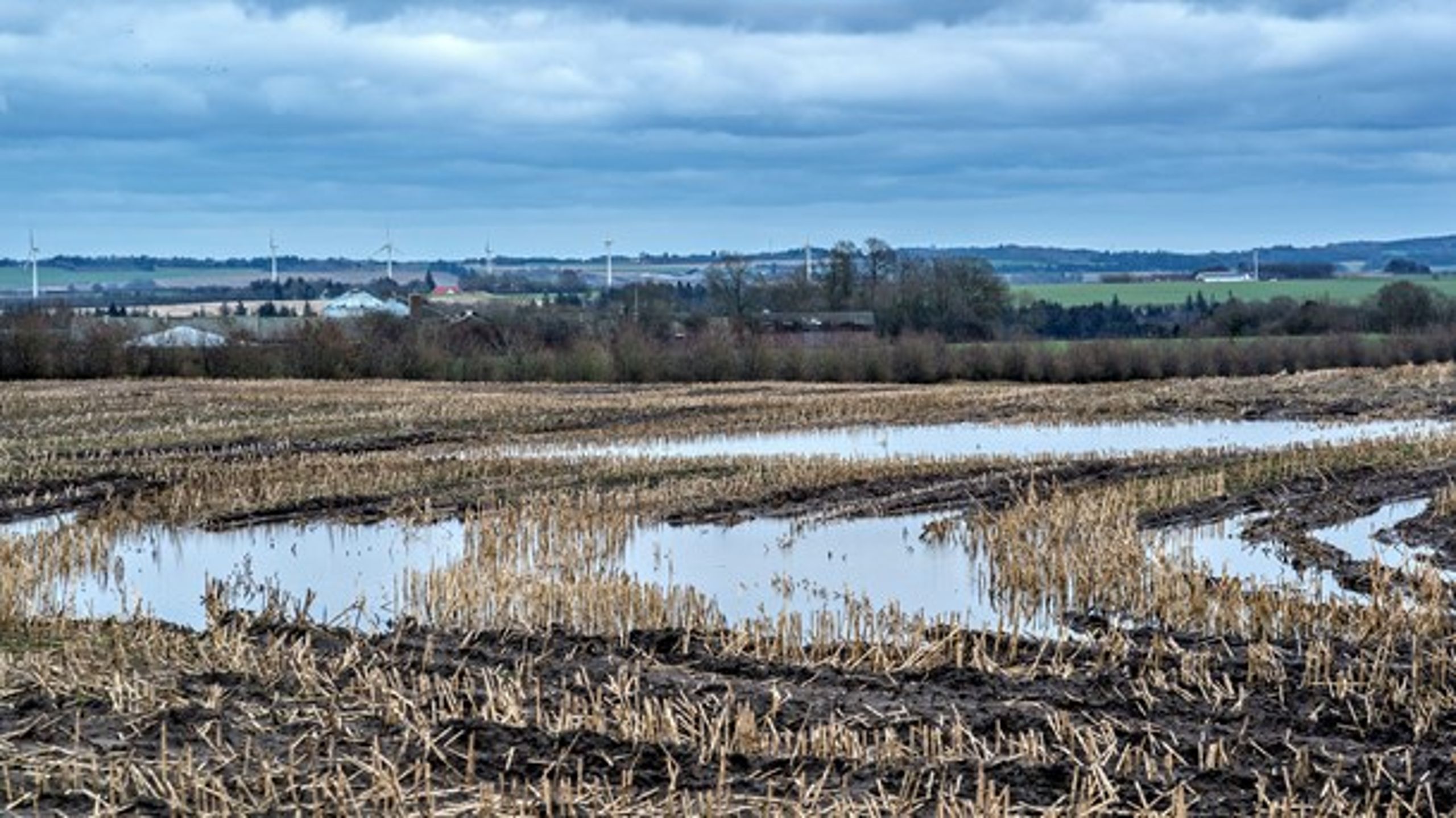 Med jævne mellemrum ser vi, hvordan marker bliver oversvømmet efter længere tids voldsomme regnskyl, skriver Susan Münster.