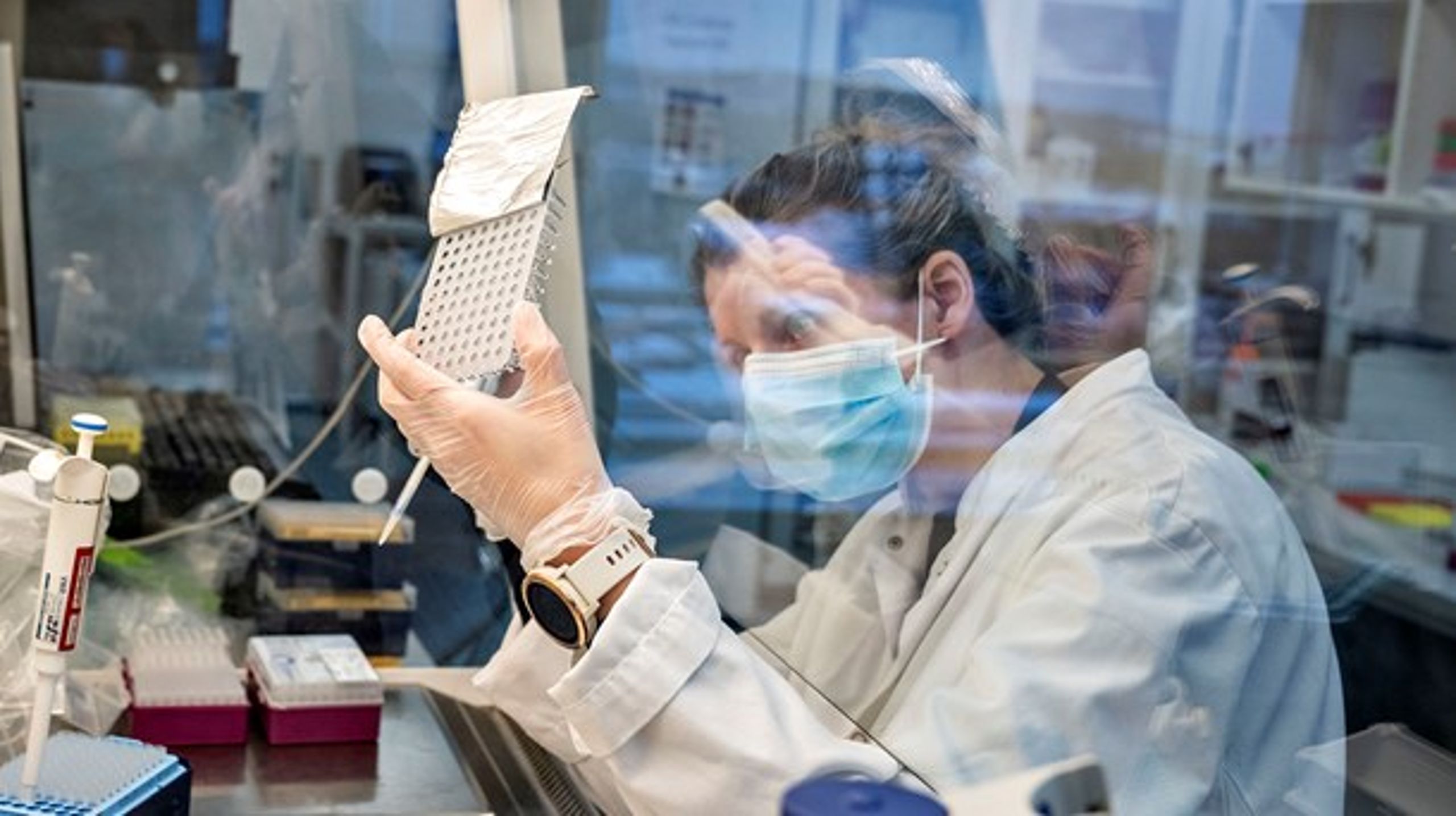 Nyt akademi for forskning i hjertekarsygdomme bliver målrettet yngre forskere<br>