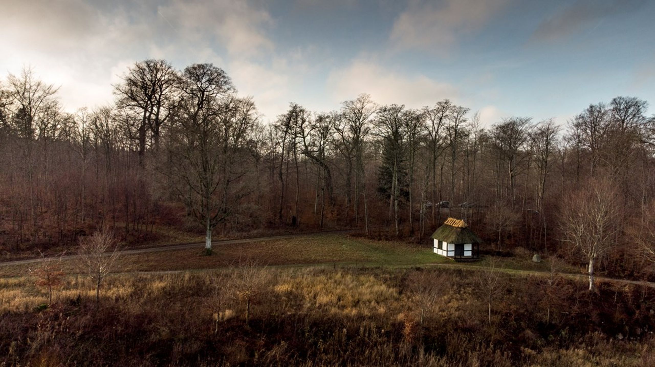 Natur og biodiversitet er udfordret i Danmark, men der er gode muligheder for at håndtere udfordringen, skriver René Christenen (DF).