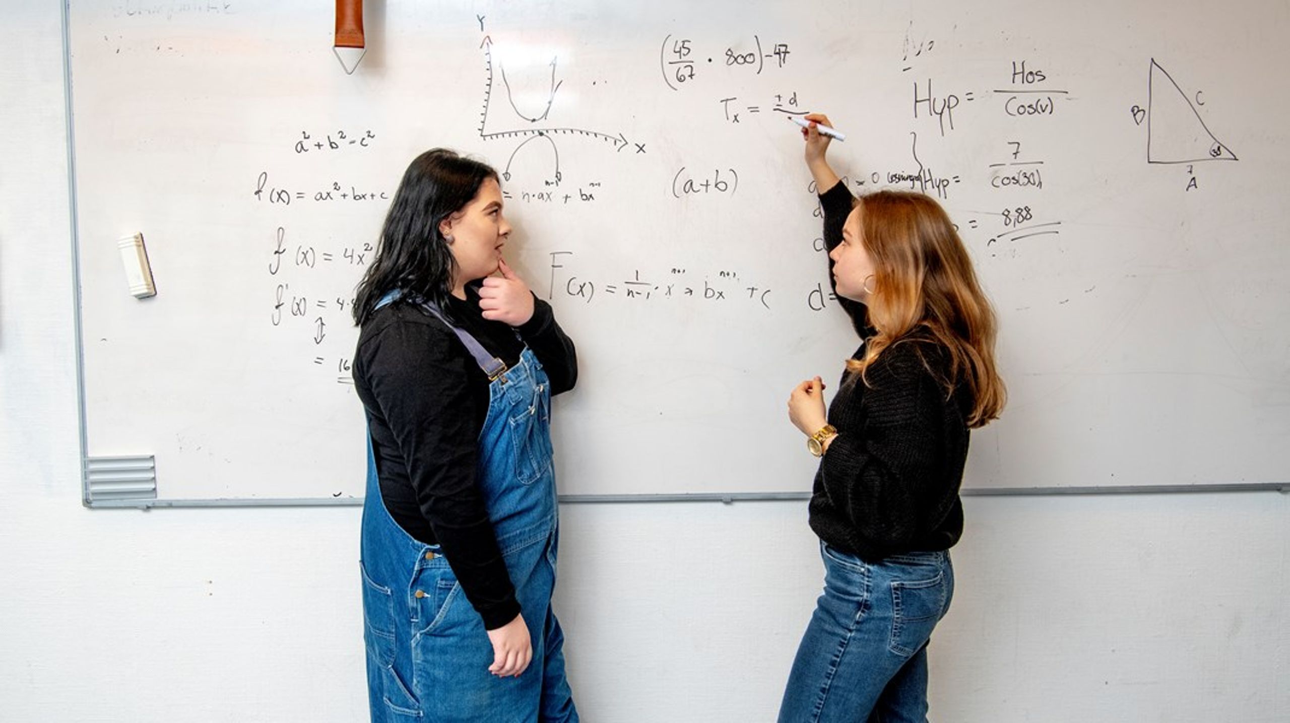 Flere organisationer vil have&nbsp;matematikeksamen på skemaet til sommer.