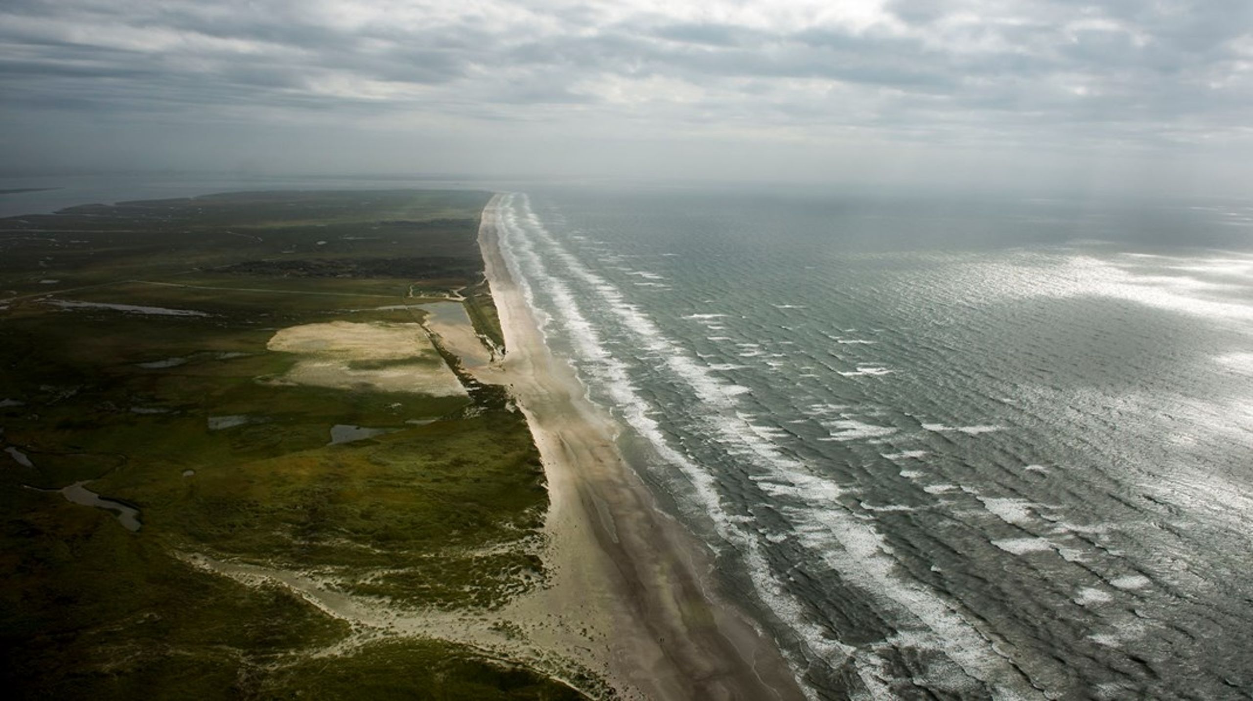 Genopretning af et sundt hav støttes primært af private fonde, som i samarbejde med forskere og lokale initiativtagere har genoprettet nogle små, isolerede områder i havet, skriver ngo'er og forskere.