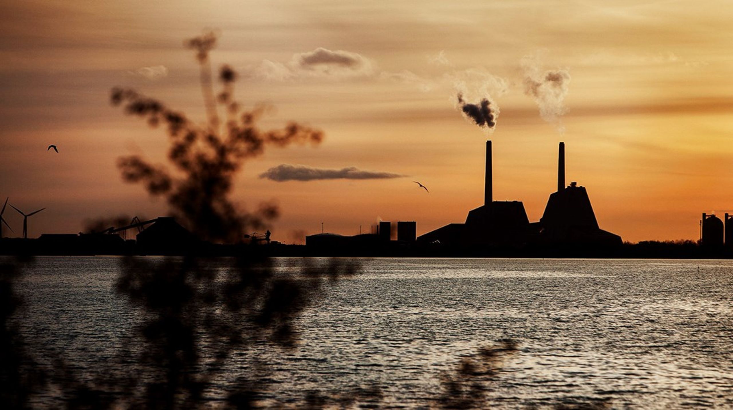 I takt med at varmepumper og store solvarmeanlæg vinder indpas i energisystemet, og en række ældre biomasseanlæg får behov for at blive fornyet, vil driften automatisk blive reduceret og nogle anlæg vil lukke helt, skriver Troels Ranis.