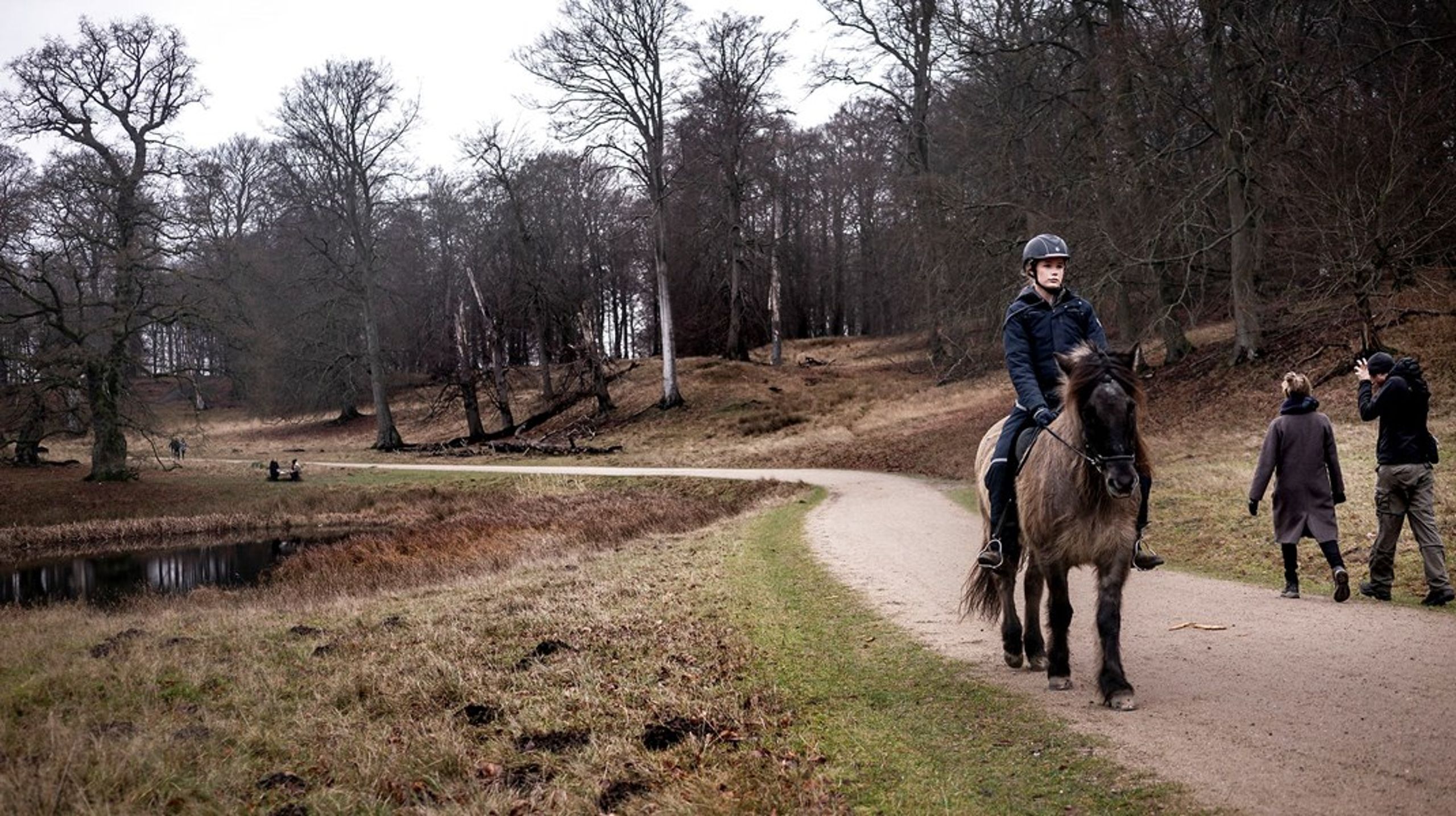 Coronakrisen rummer det uløste potentiale for, at vi i fællesskab&nbsp;kan gentænke og igangsætte de nødvendige transitioner for en klimaneutral og bæredygtig fremtid, skriver professor Janne Liburd.