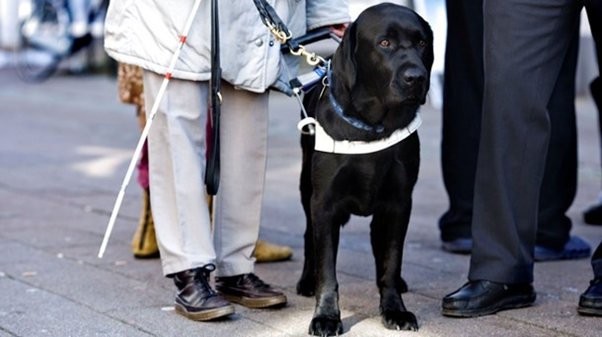 Det vil være naturligt at udvikle stærke synsfaglige miljøer forankret i regionerne, hvor man i forvejen har erfaring med håndtering af specialer i sundhedsvæsenet, skriver&nbsp;Ask Løvbjerg Abildgaard og Diana Stentoft.&nbsp;