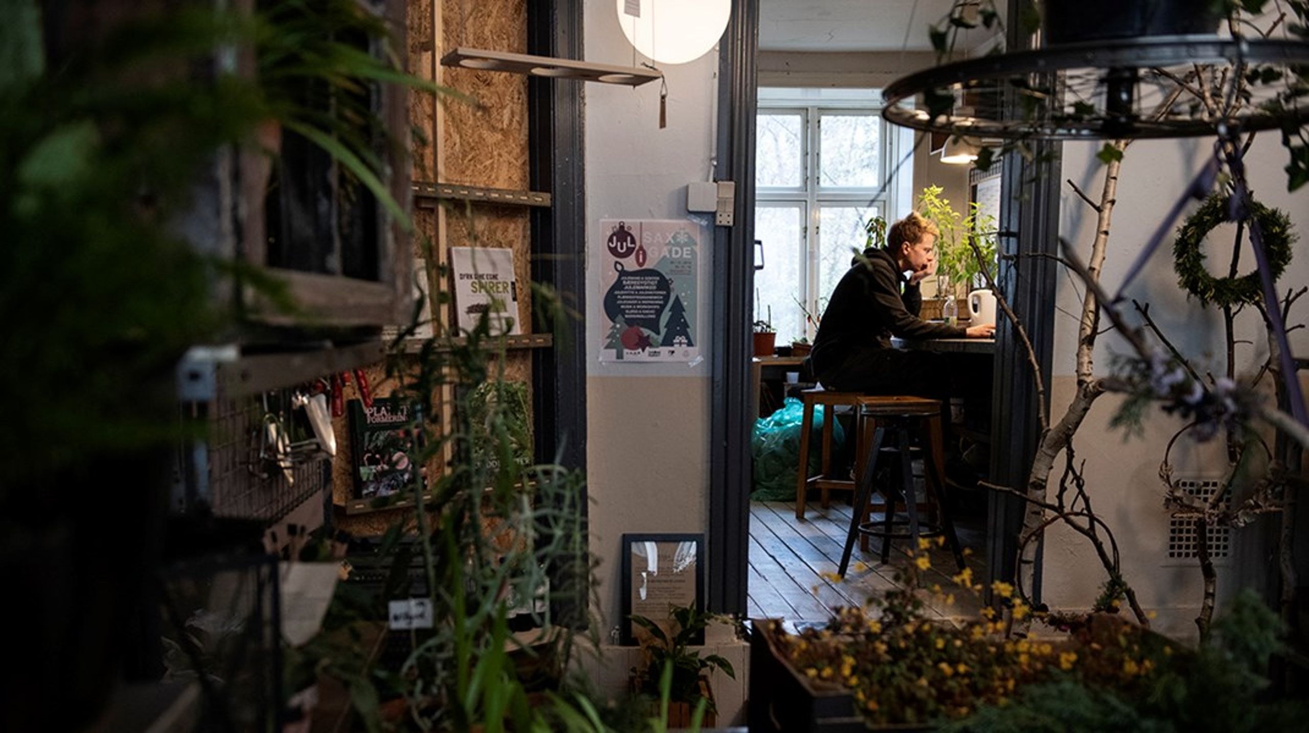 Med et socialt andelsbevis vil Enhedslisten skaffe finansiering til socialøkonomiske virksomheder som Plantula i København.&nbsp;