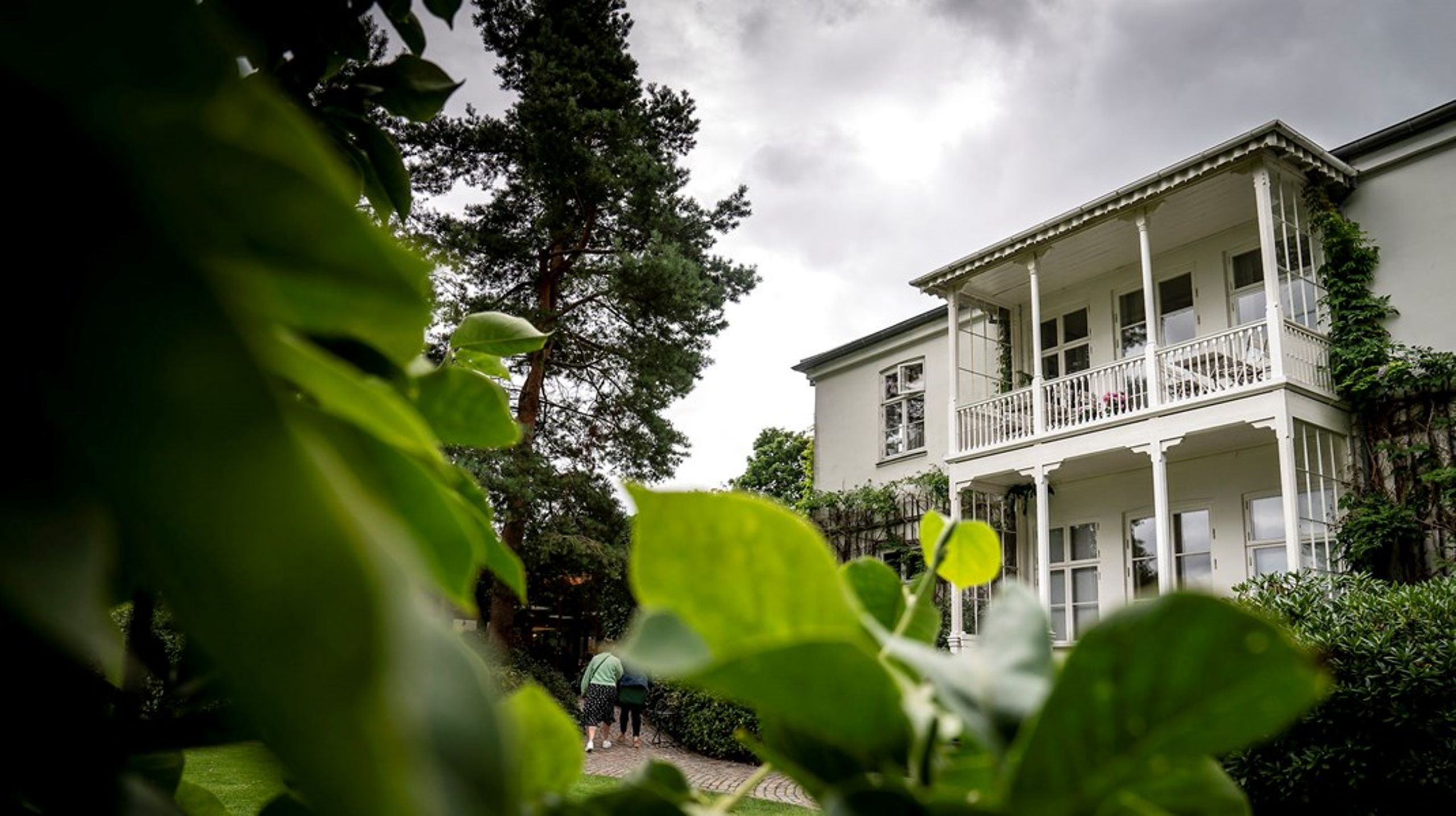 Er konstruktionen bag kunstmuseet Louisiana i strid med loven? Det skal nu undersøges.&nbsp;